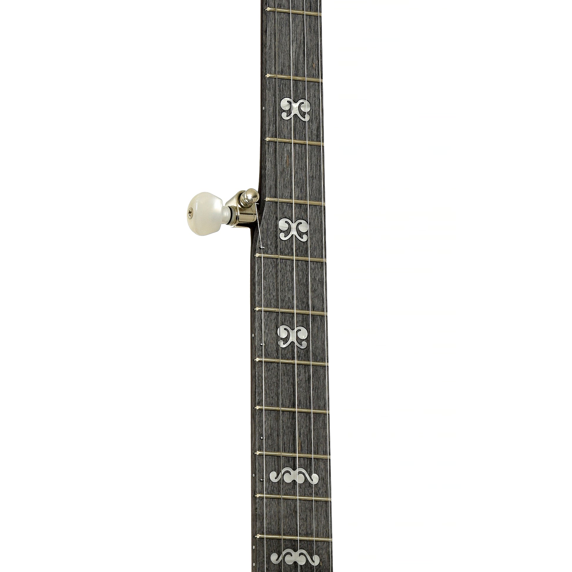 Fretboard of Deering Artisan Goodtime 2 Resonator Banjo