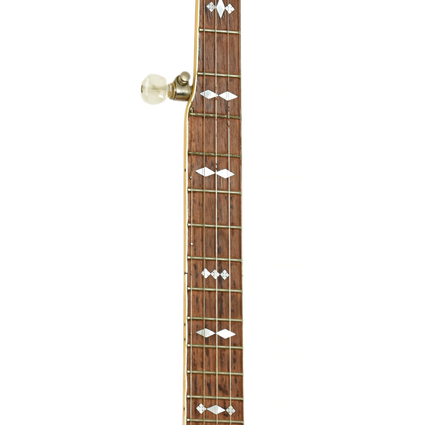 Fretboard of Gibson TB-3 Conversion Banjo 