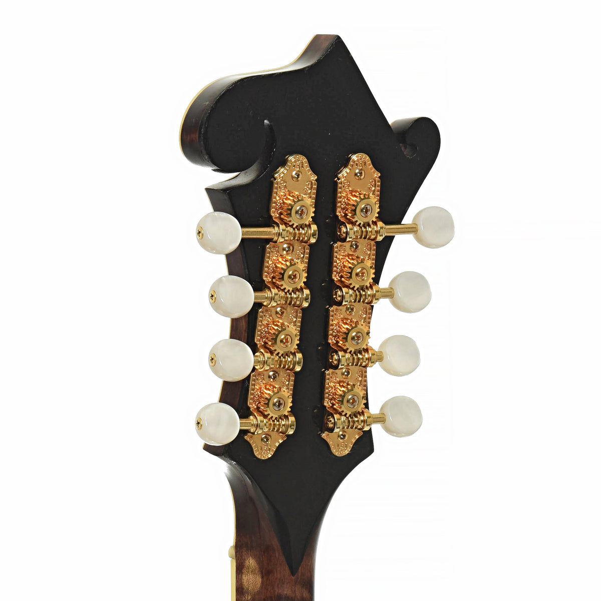 Tuners of Hook F-Style Mandolin 