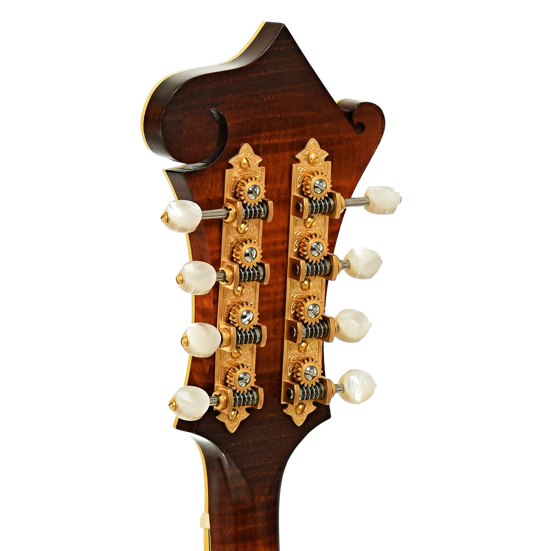 Tuners of Clark F-5 Mandolin 