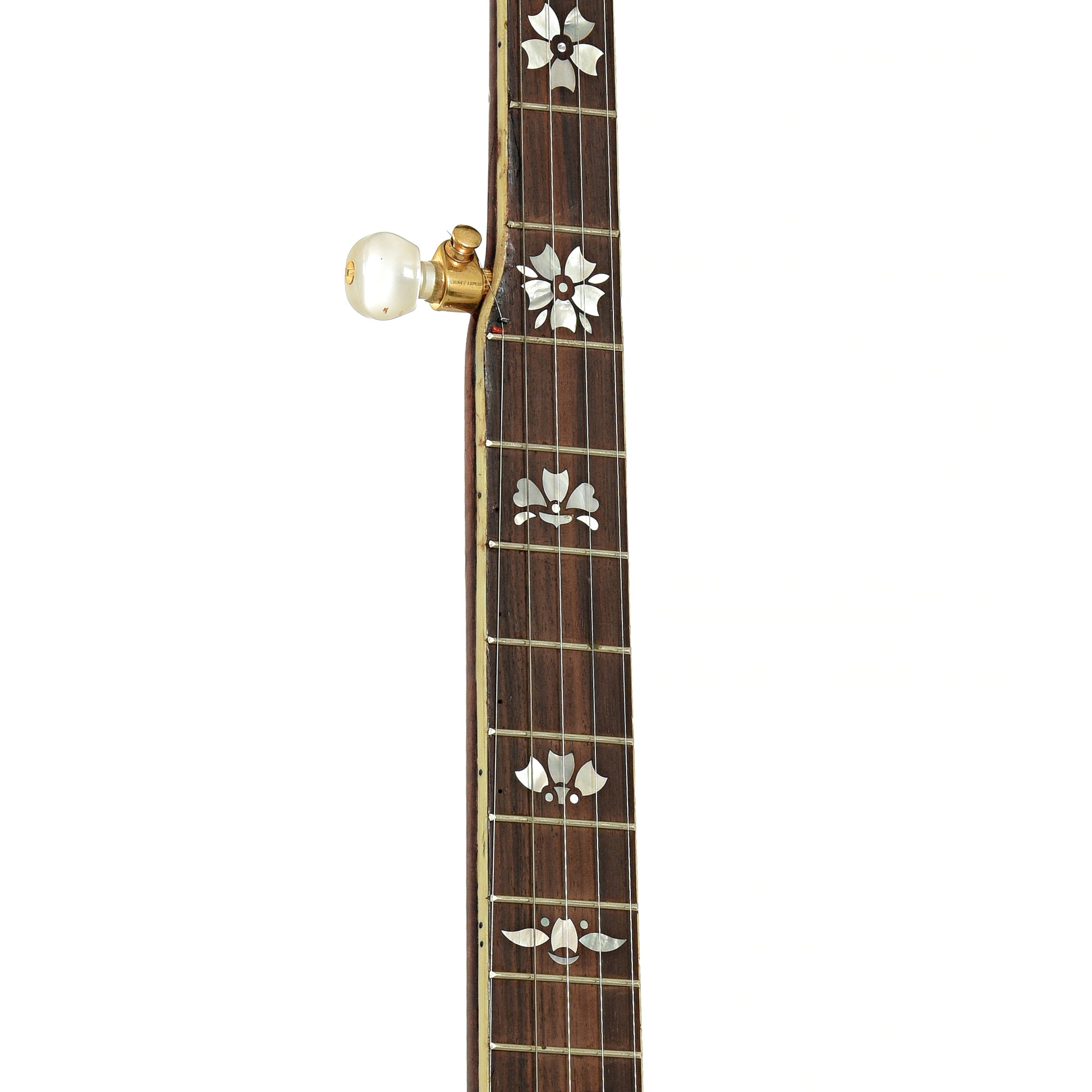 Fretboard of Cymru Parts Resonator Banjo