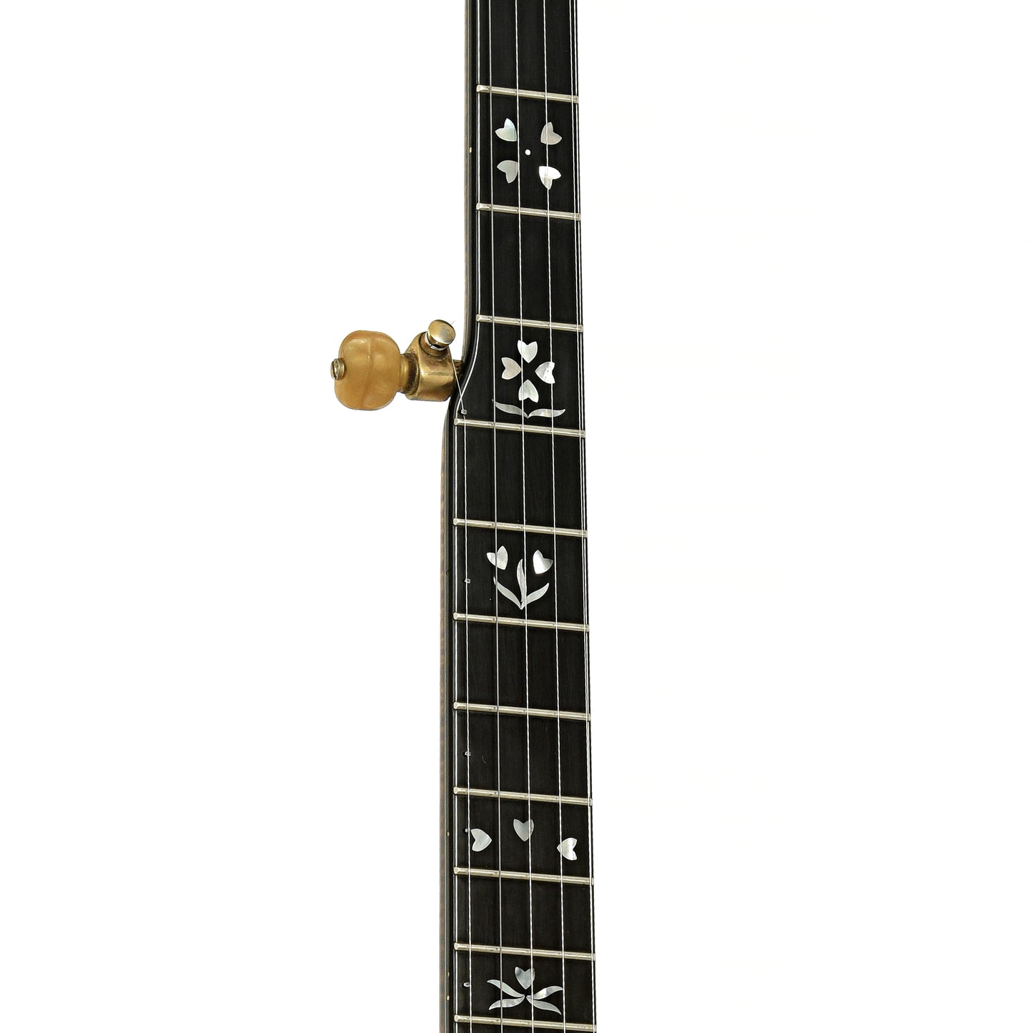 Fretboard of Stelling Sonny Osborne Sonflower Prototype Banjo