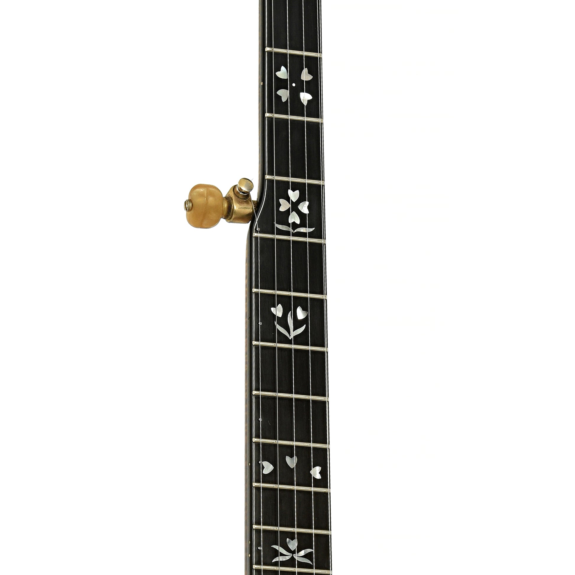 Fretboard of Stelling Sonny Osborne Sonflower Prototype Banjo