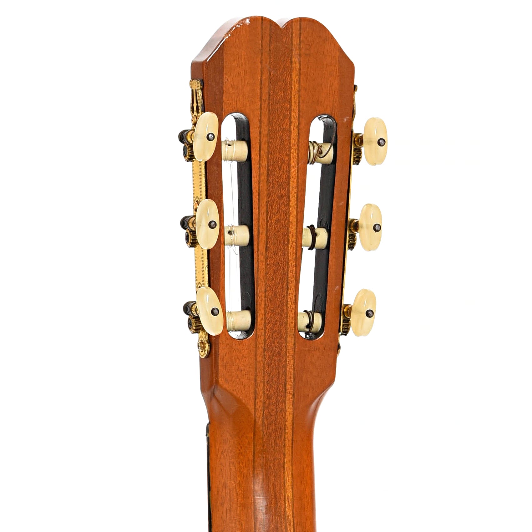 Back headstock of Epiphone EC-300 Barcelona Custom Classical Guitar (1966)