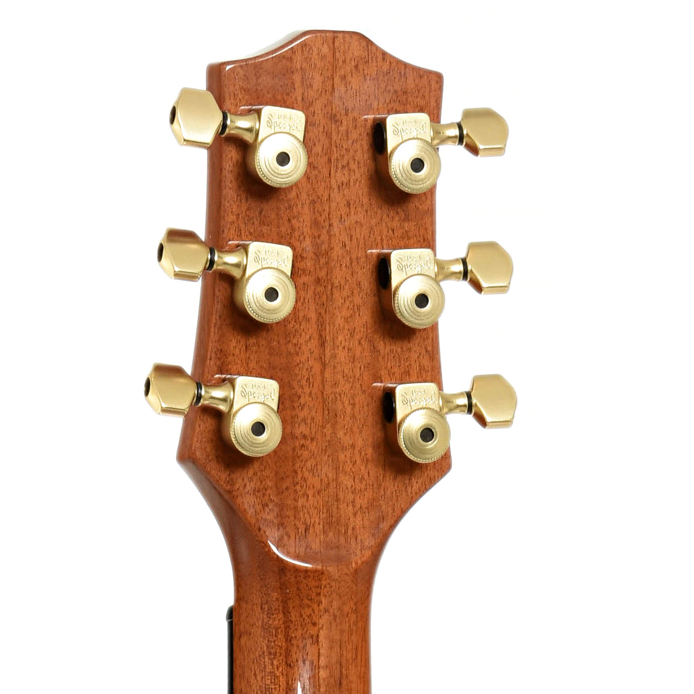 Tuners of Carvin CC-275 Craig Chaquico Acoustic Guitar 