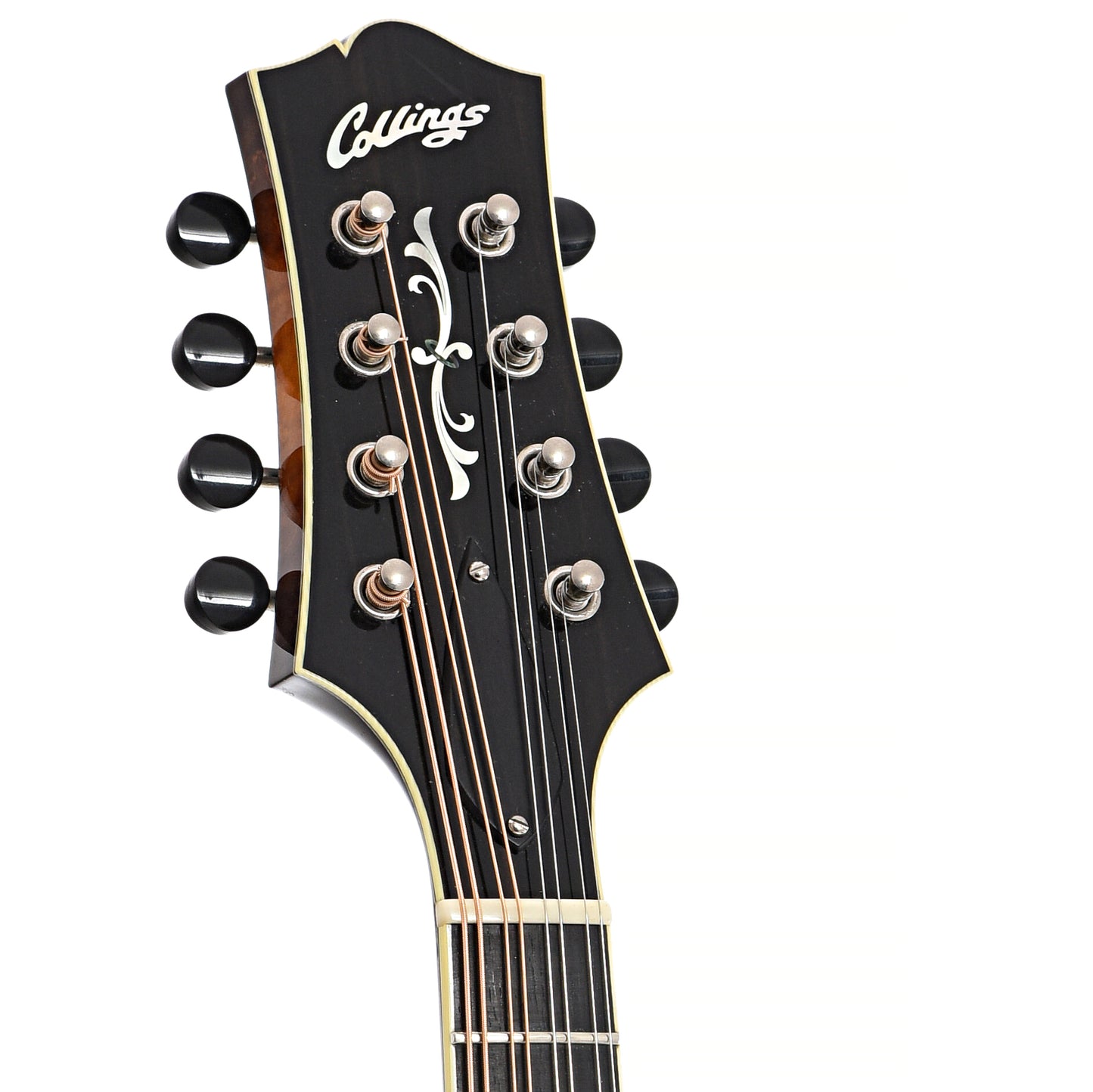 Front headstock of Collings MT-2 (2009)