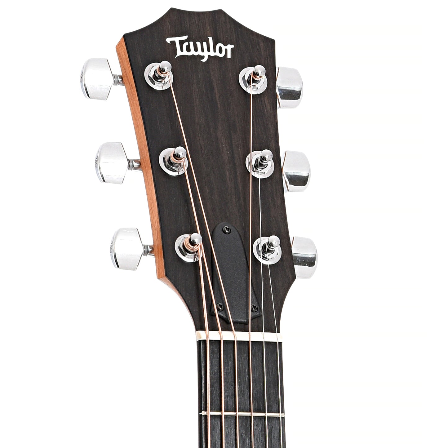 Front headstock of Taylor 214ce Acoustic Guitar