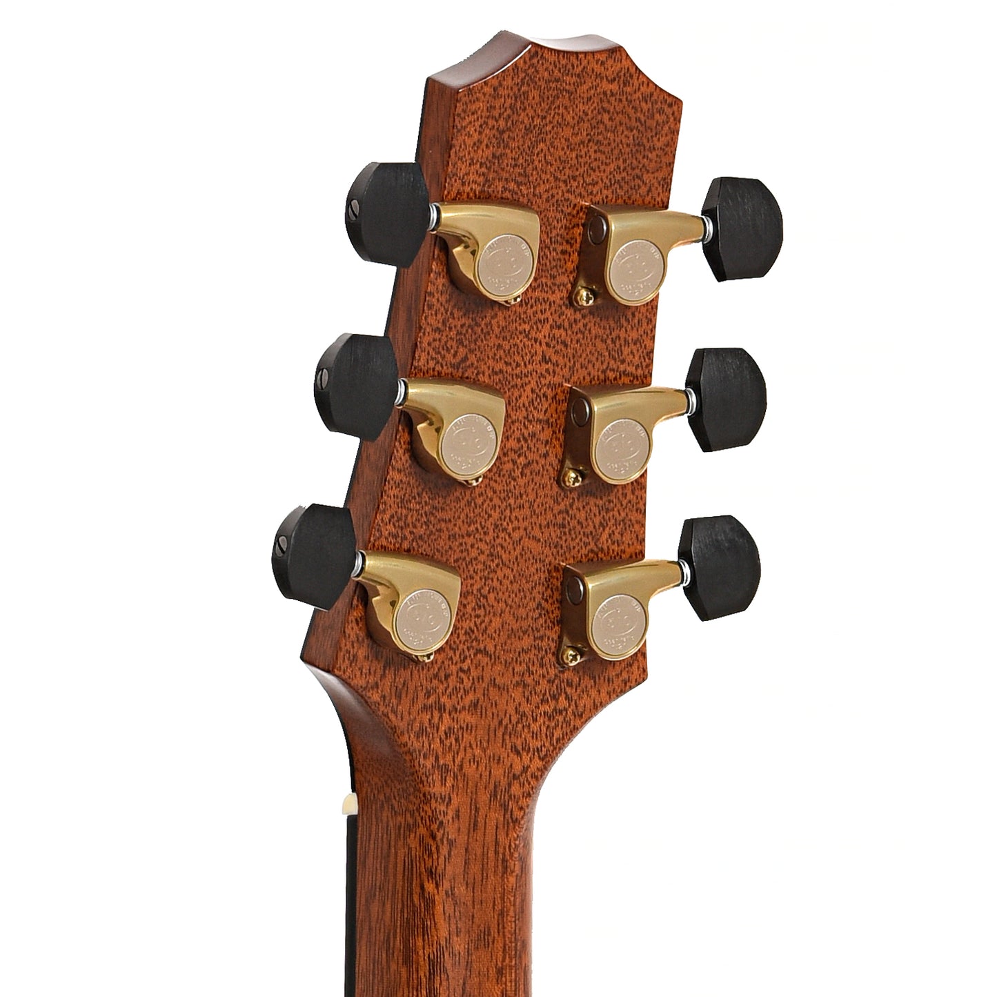 Back headstock of R. Taylor Style 1 Acoustic