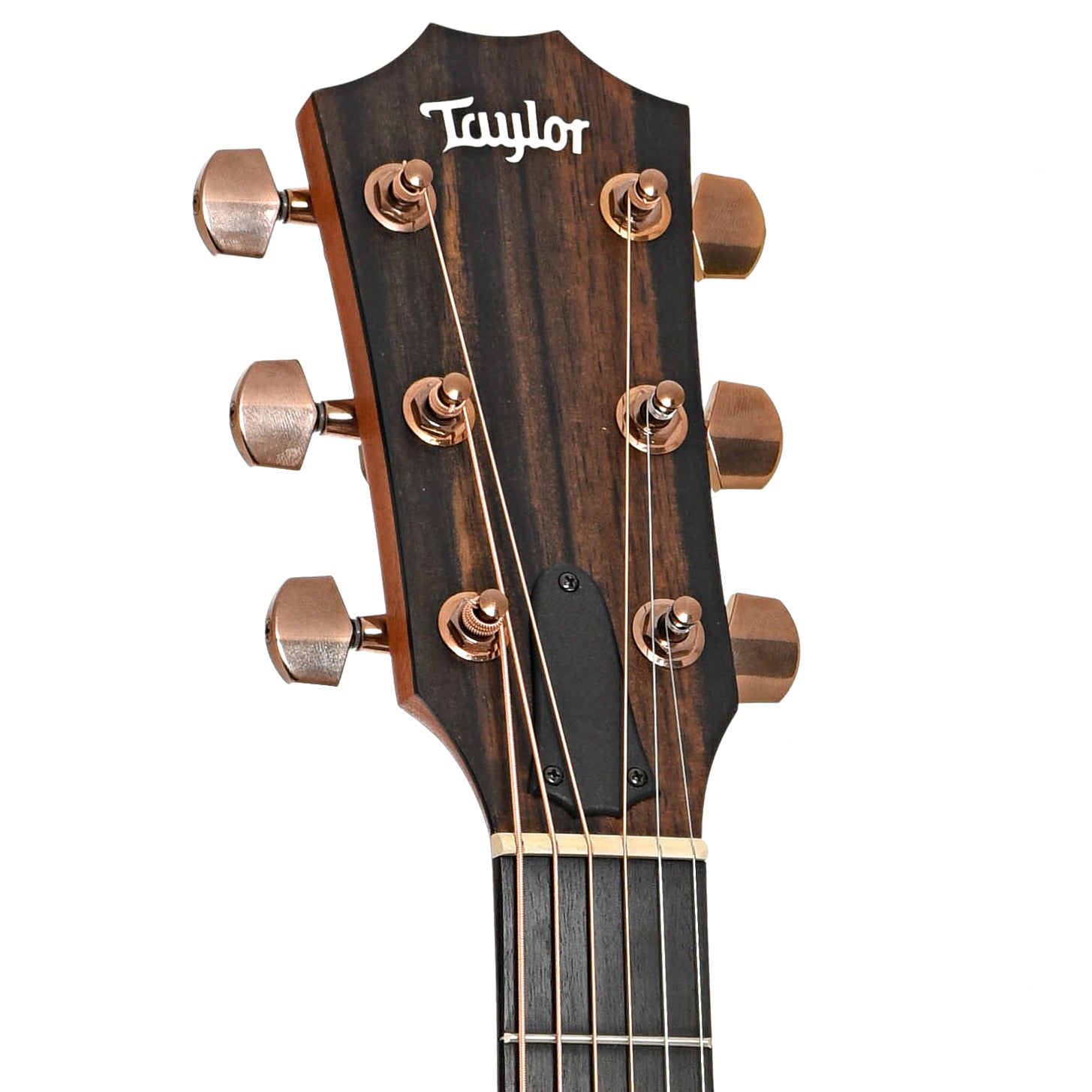 Front headstock of Taylor 214ce-SB DLX Acoustic-Electric Guitar (2020)
