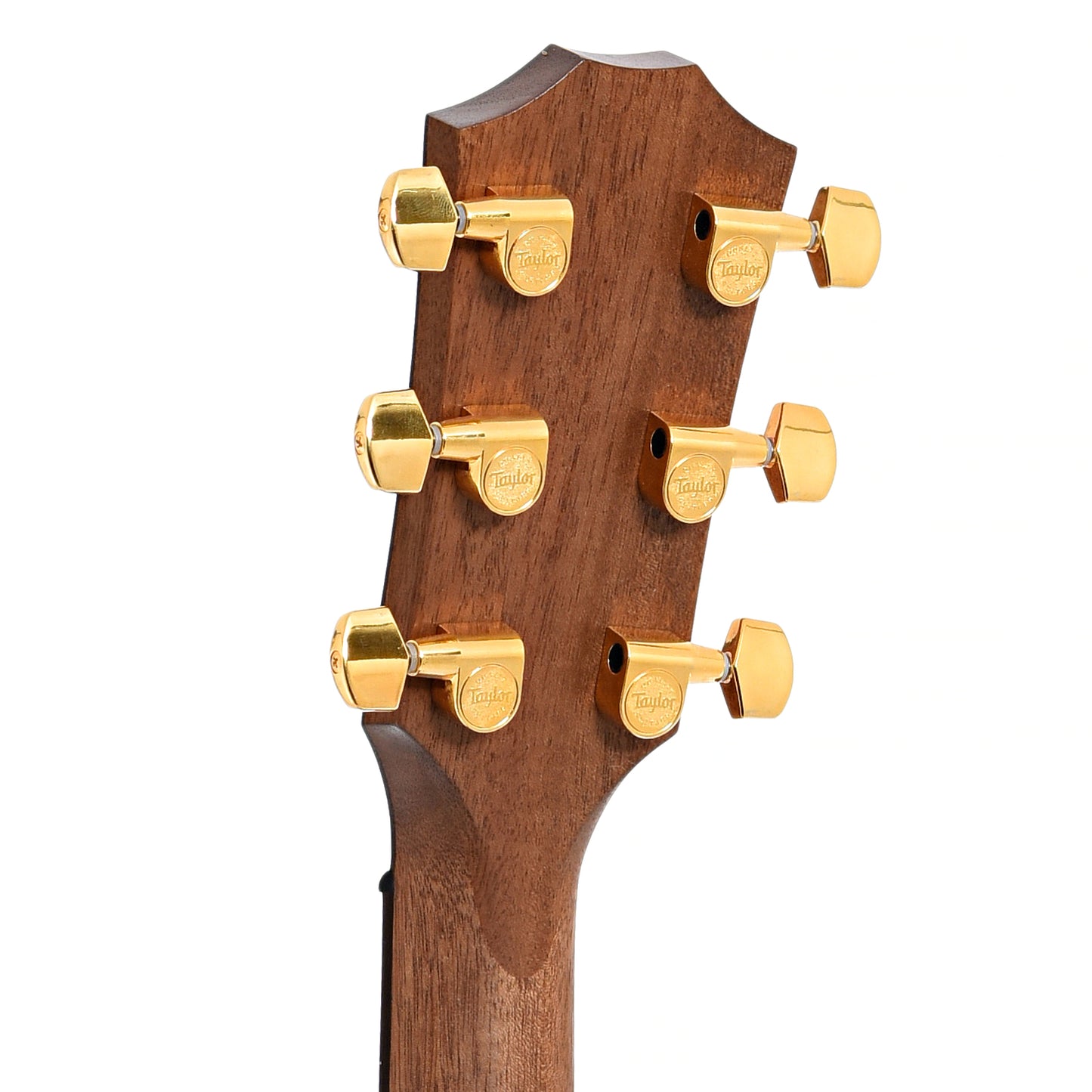 Back headstock of Taylor 50th Anniversary AD14ce-SB LTD Acoustic 