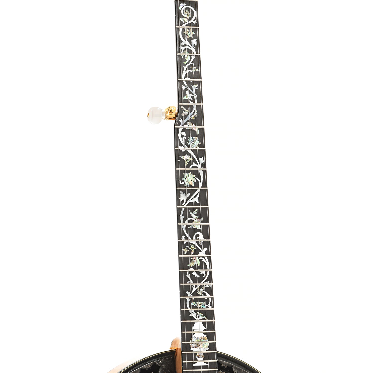 Fretboard of Stelling Tree of Life Custom Resonator Banjo
