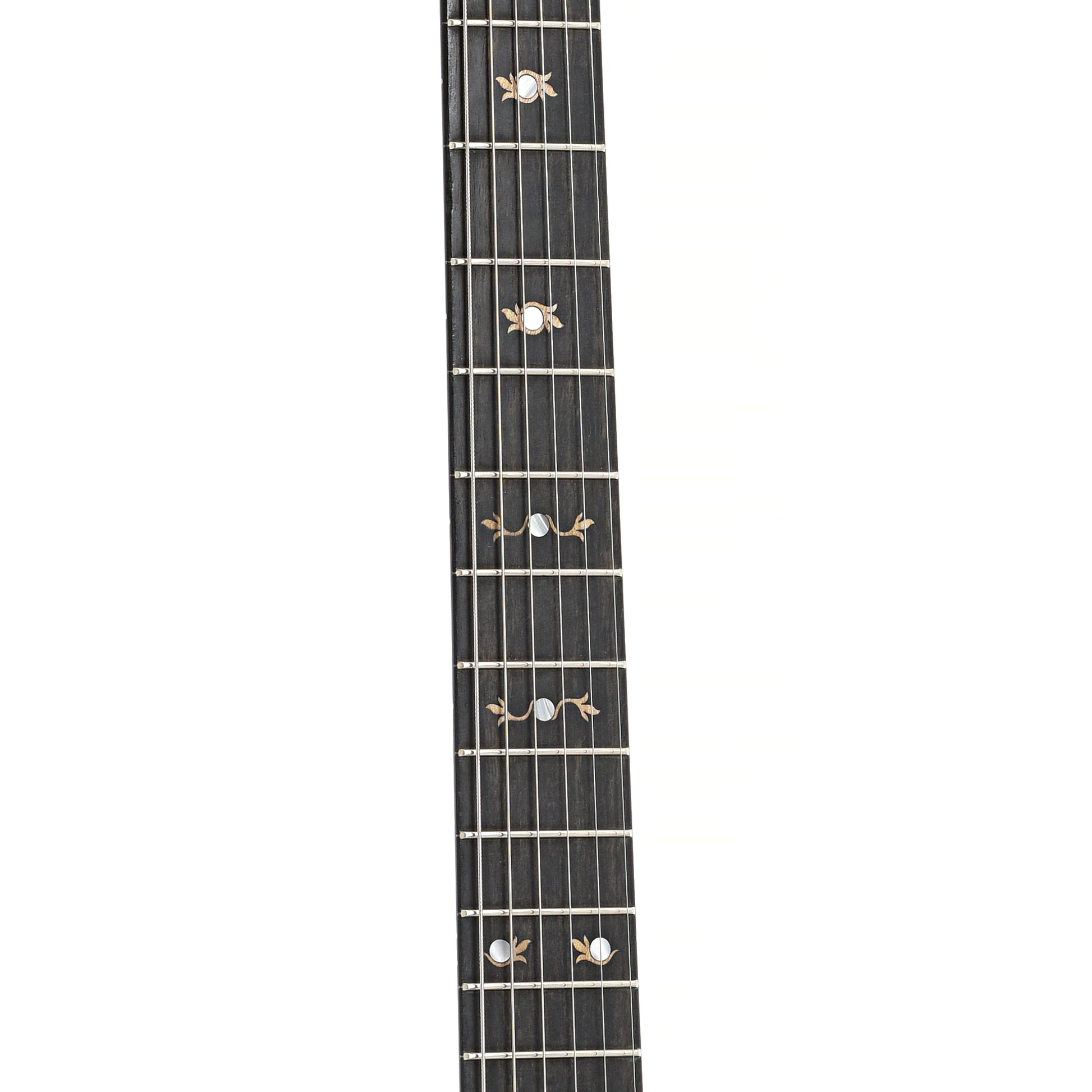 Fretboard of Deering Boston 6 A/E Banjo-Guitar (2012)