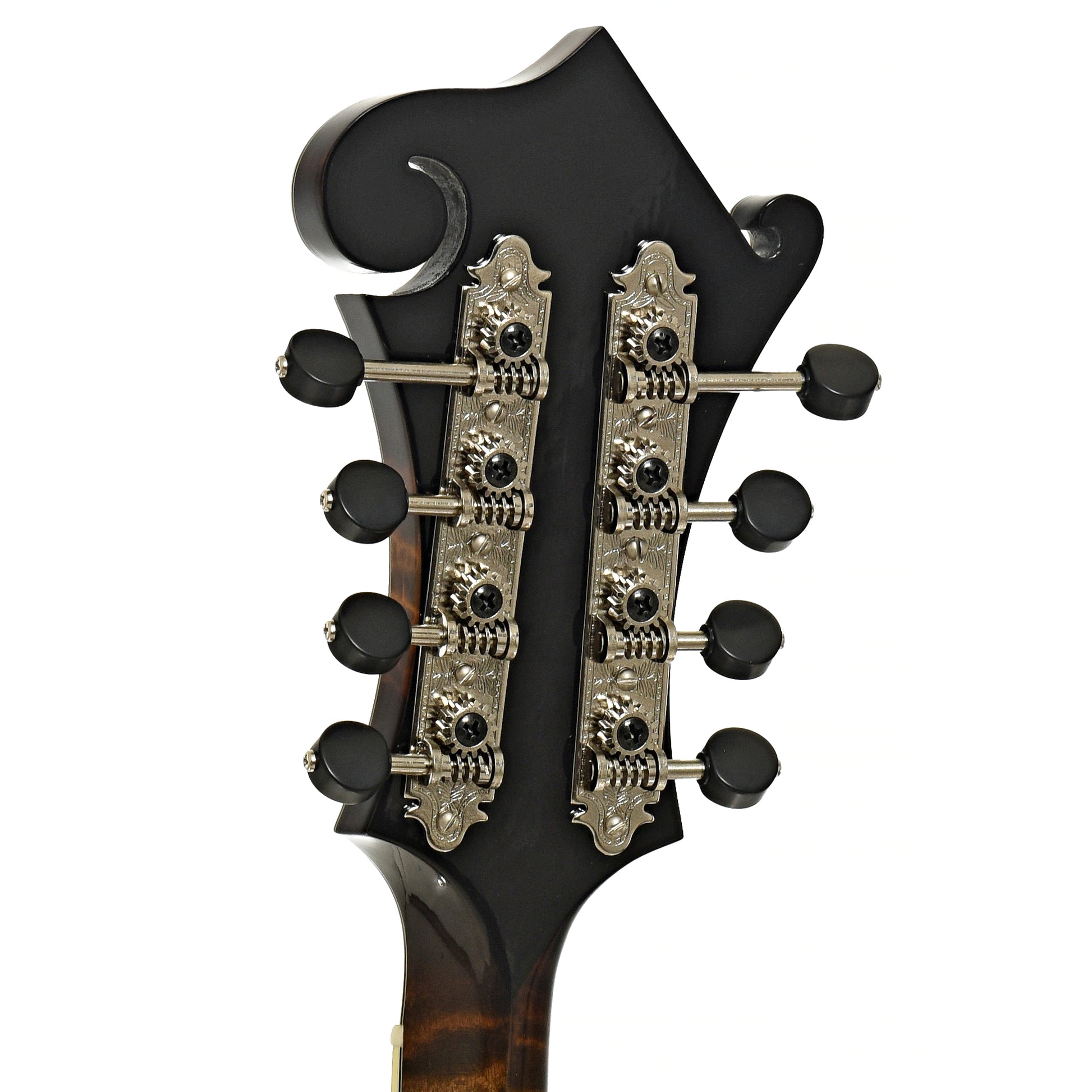 Tuners of Northfield Workshop NFB-F5A Master Model Big Mon Mandolin