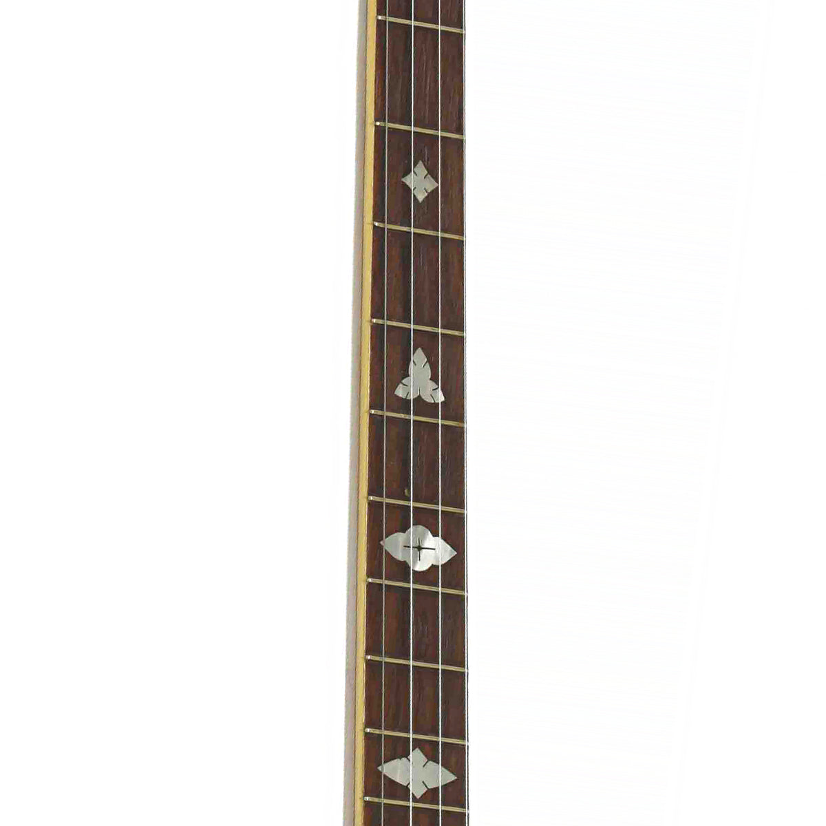 Fretboard of Gibson TB-2 Tenor Banjo
