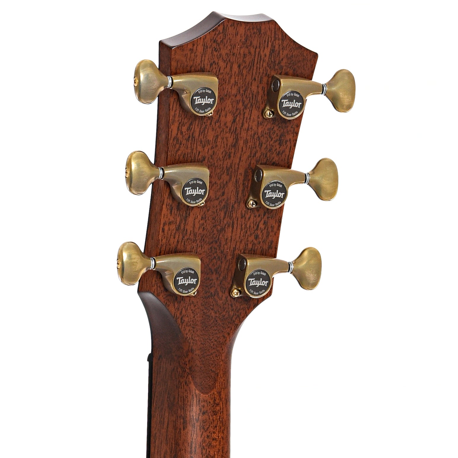 Back headstock of Taylor 50th Anniversary Builder's Edition 814ce LTD Acoustic Guitar 