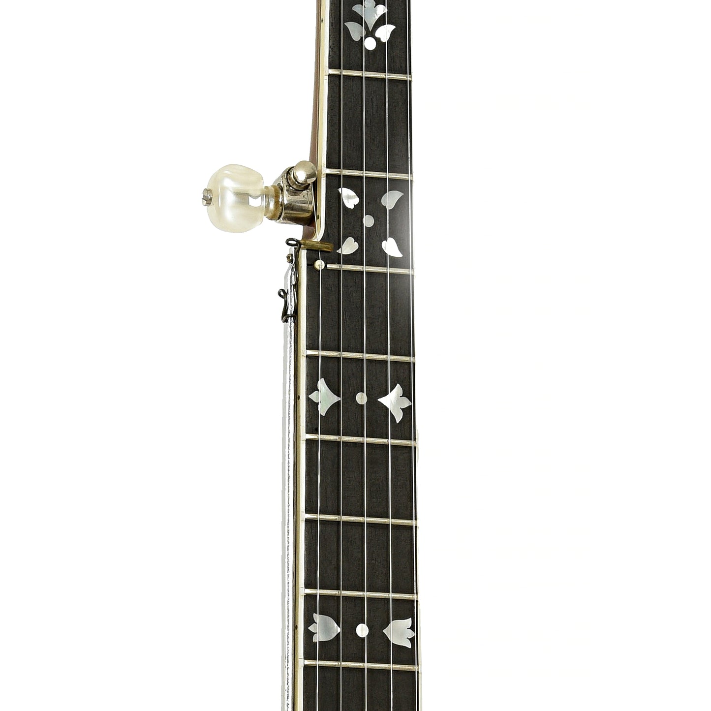 Fretboard of Ode Style C 6505 Resonator Banjo