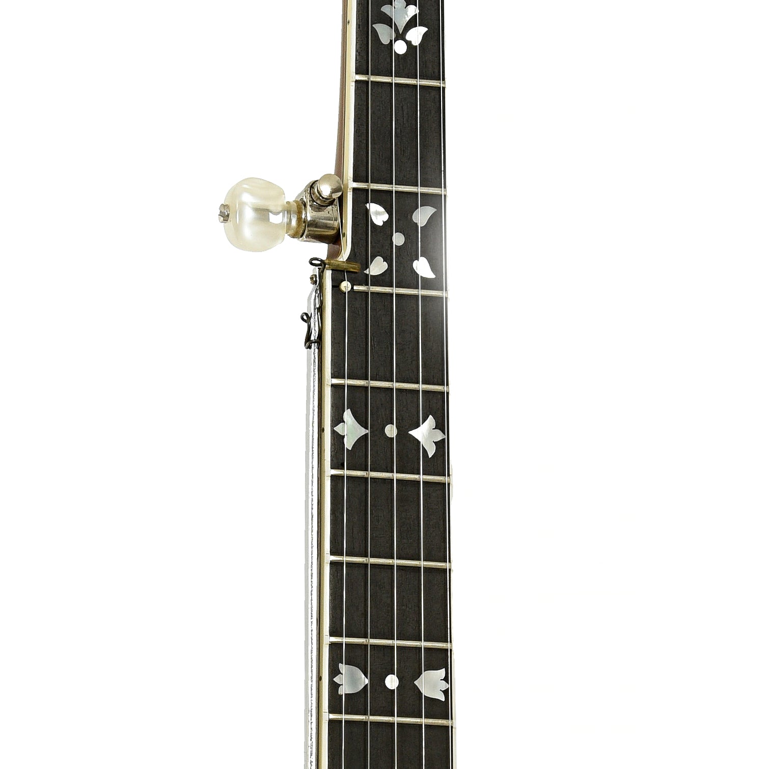 Fretboard of Ode Style C 6505 Resonator Banjo