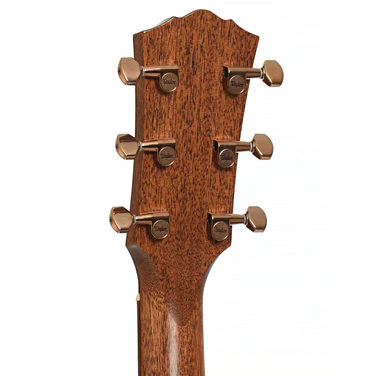 Tuners of Ben Harper Gold Label 512e SE Grand Concert