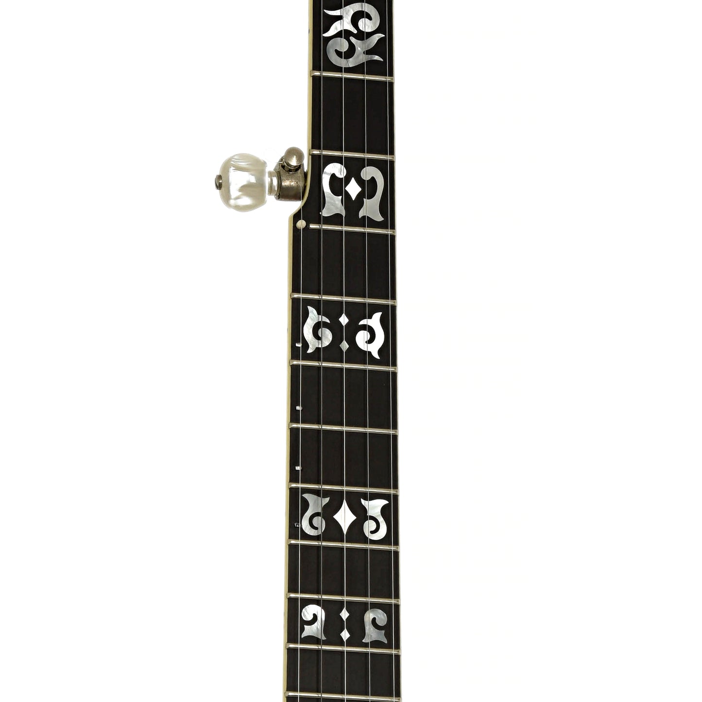 Fretboard of Ome Juggernaut Resonator Banjo