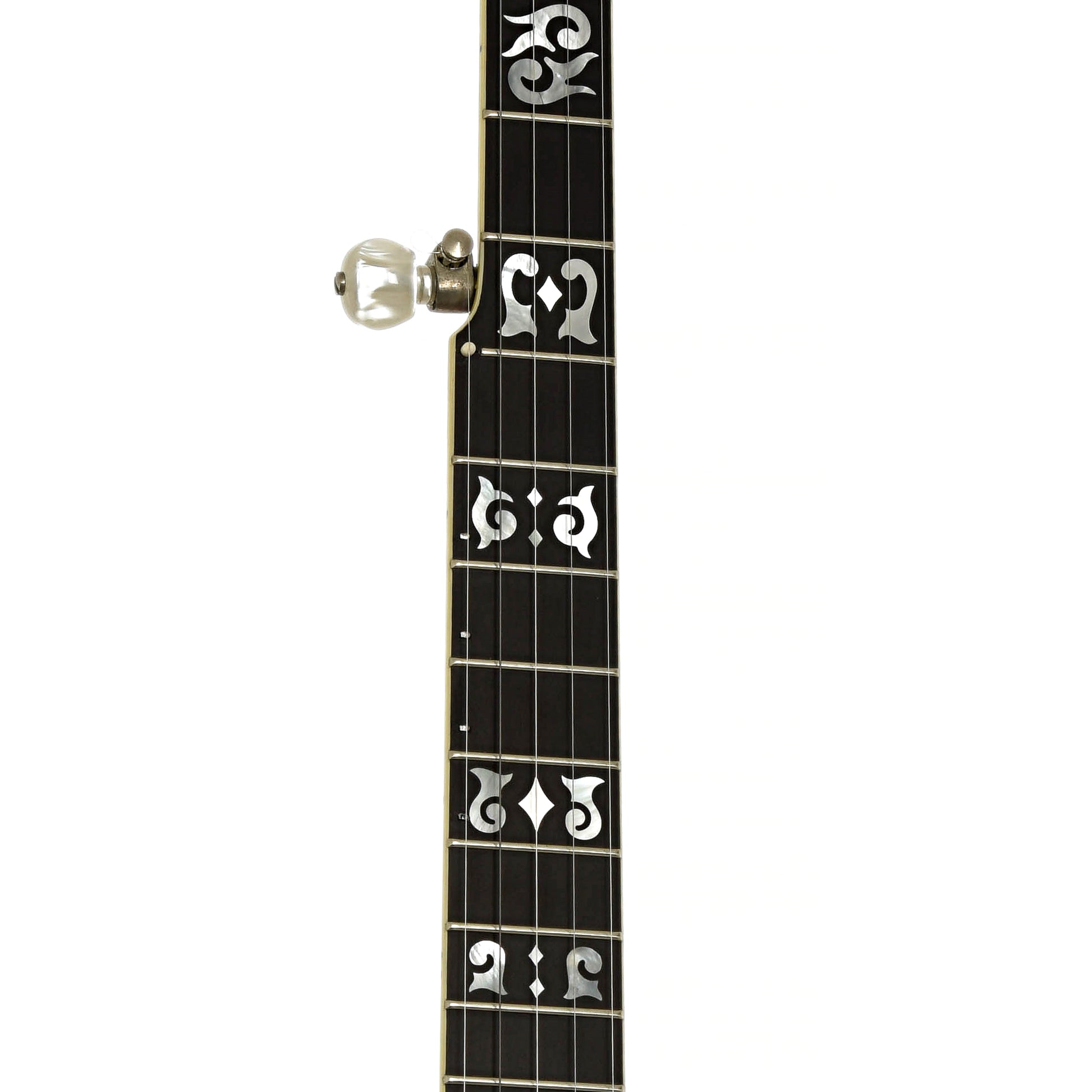 Fretboard of Ome Juggernaut Resonator Banjo