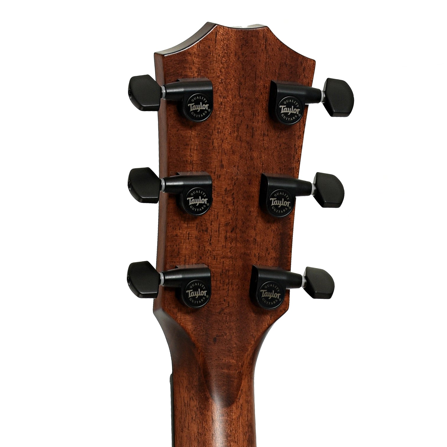Tuners of Taylor Next Generation 324ce Acoustic Guitar