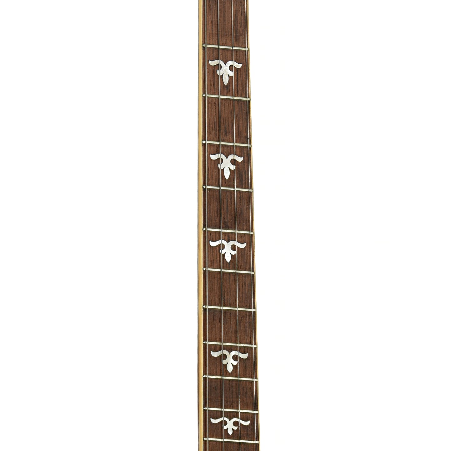 Fretboard of Weymann Style 85 Tenor Banjo