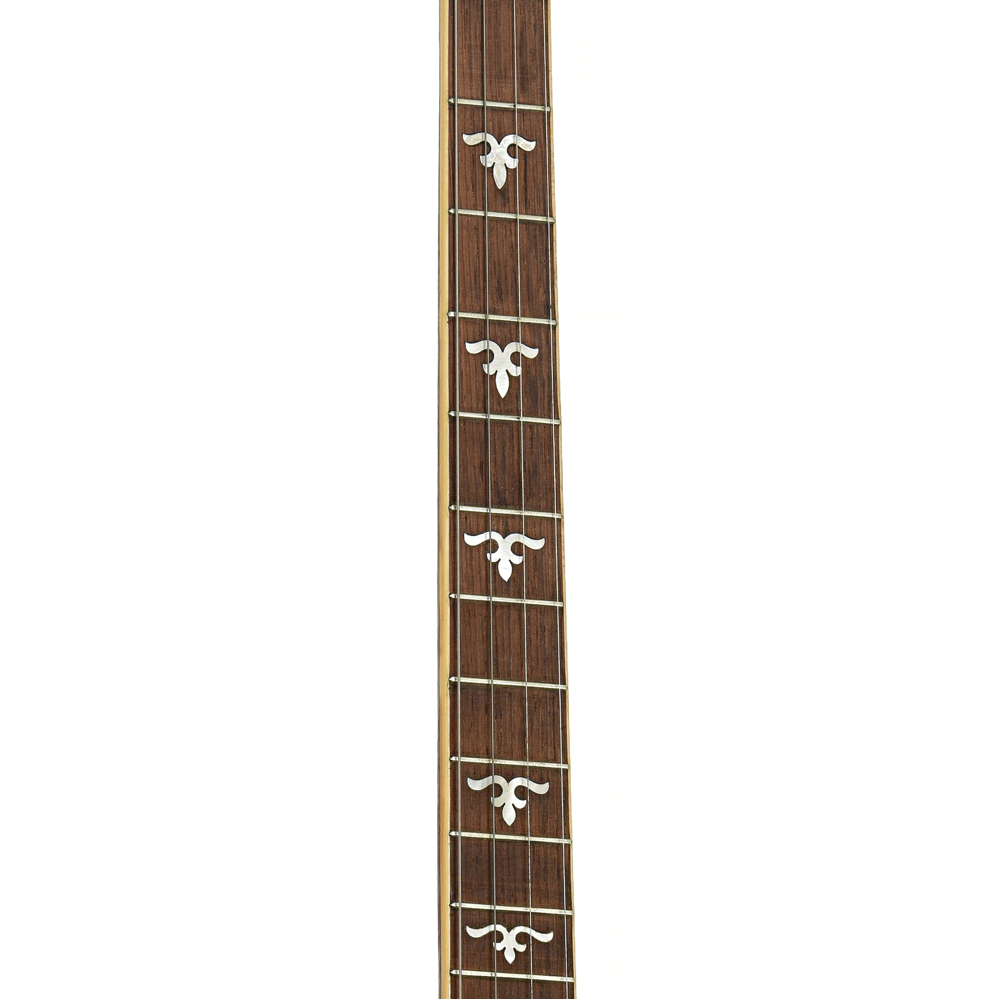 Fretboard of Weymann Style 85 Tenor Banjo