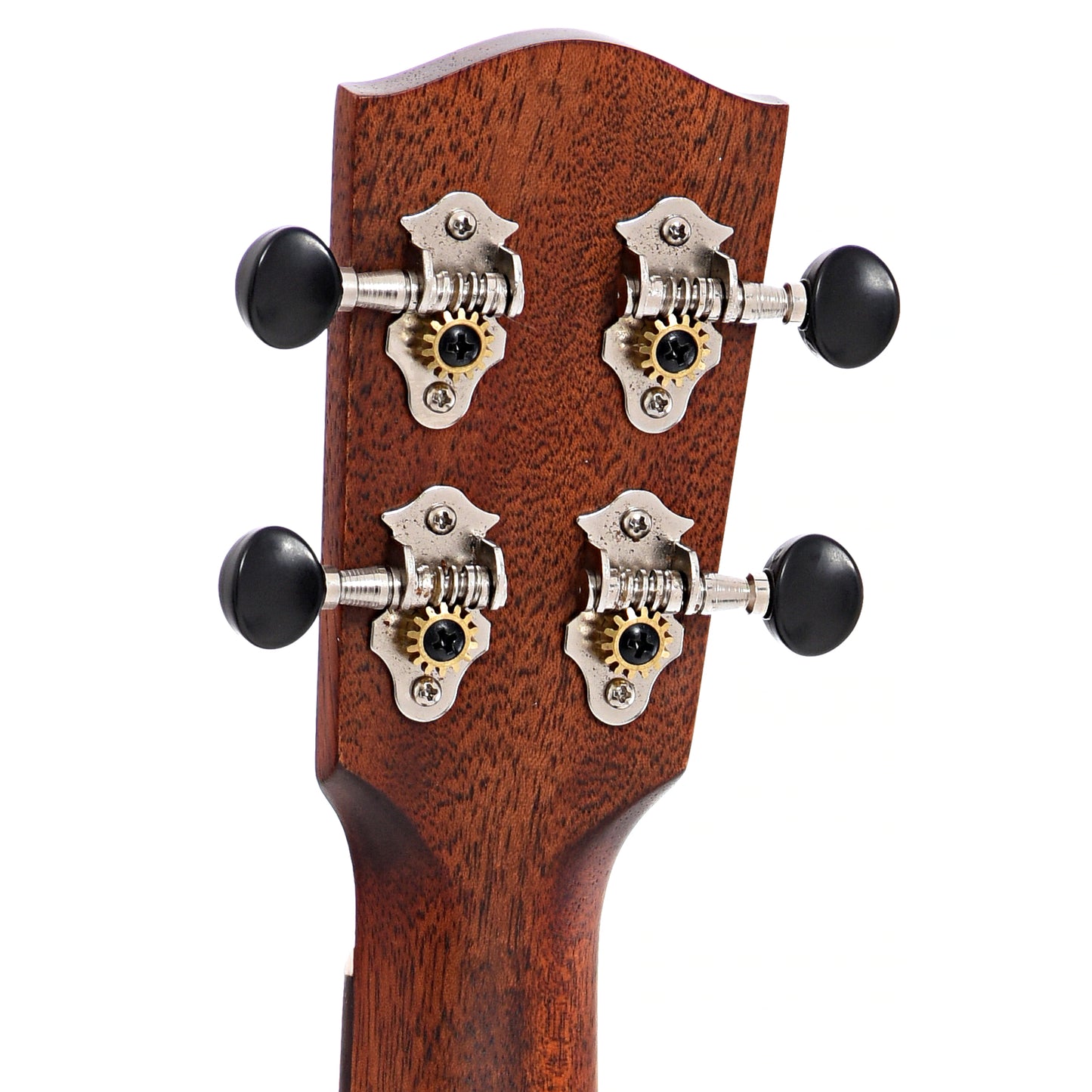 Back headstock of Eastman EU1-C Concert Ukulele 