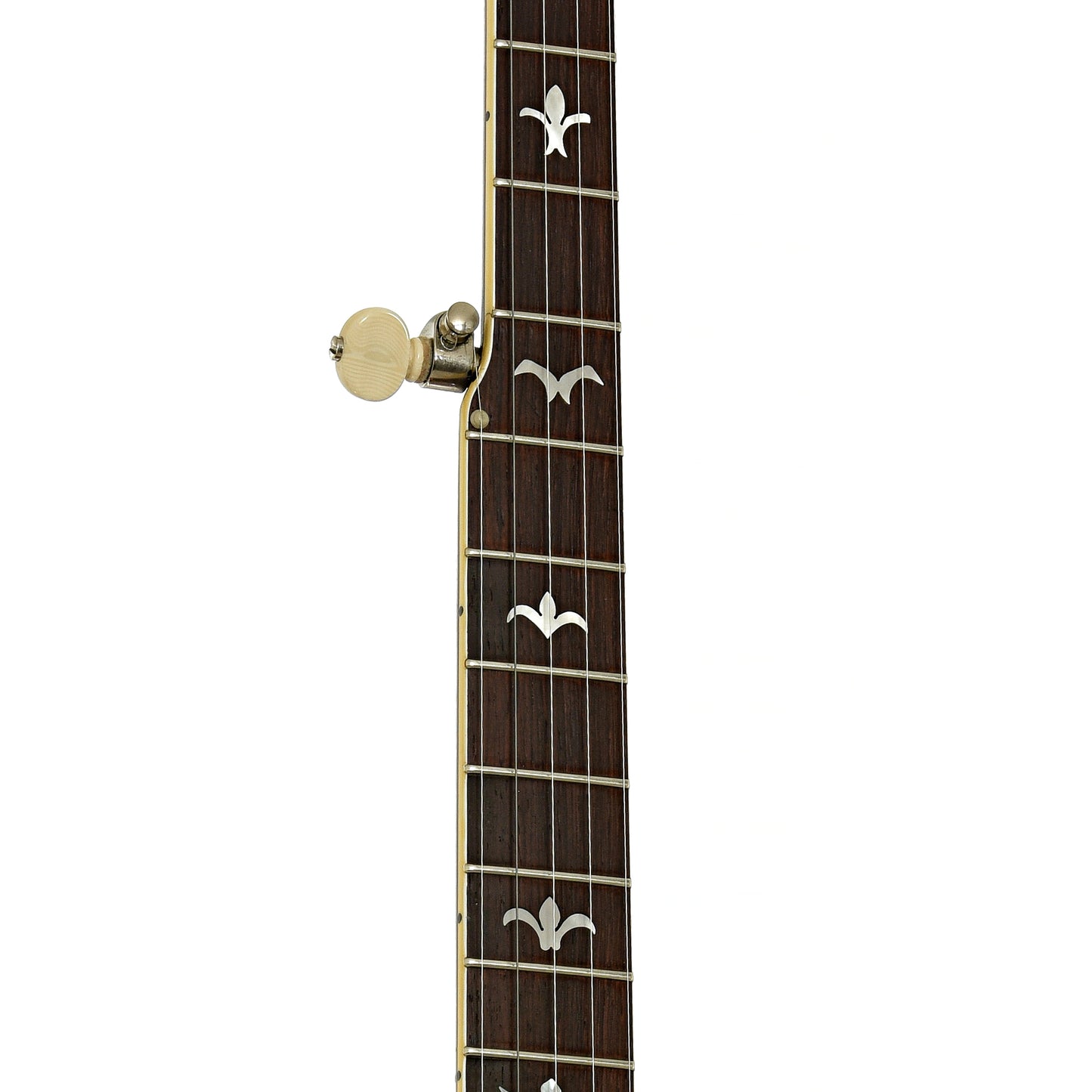 Fretboard of Huber Sammy Shelor Resonator Banjo