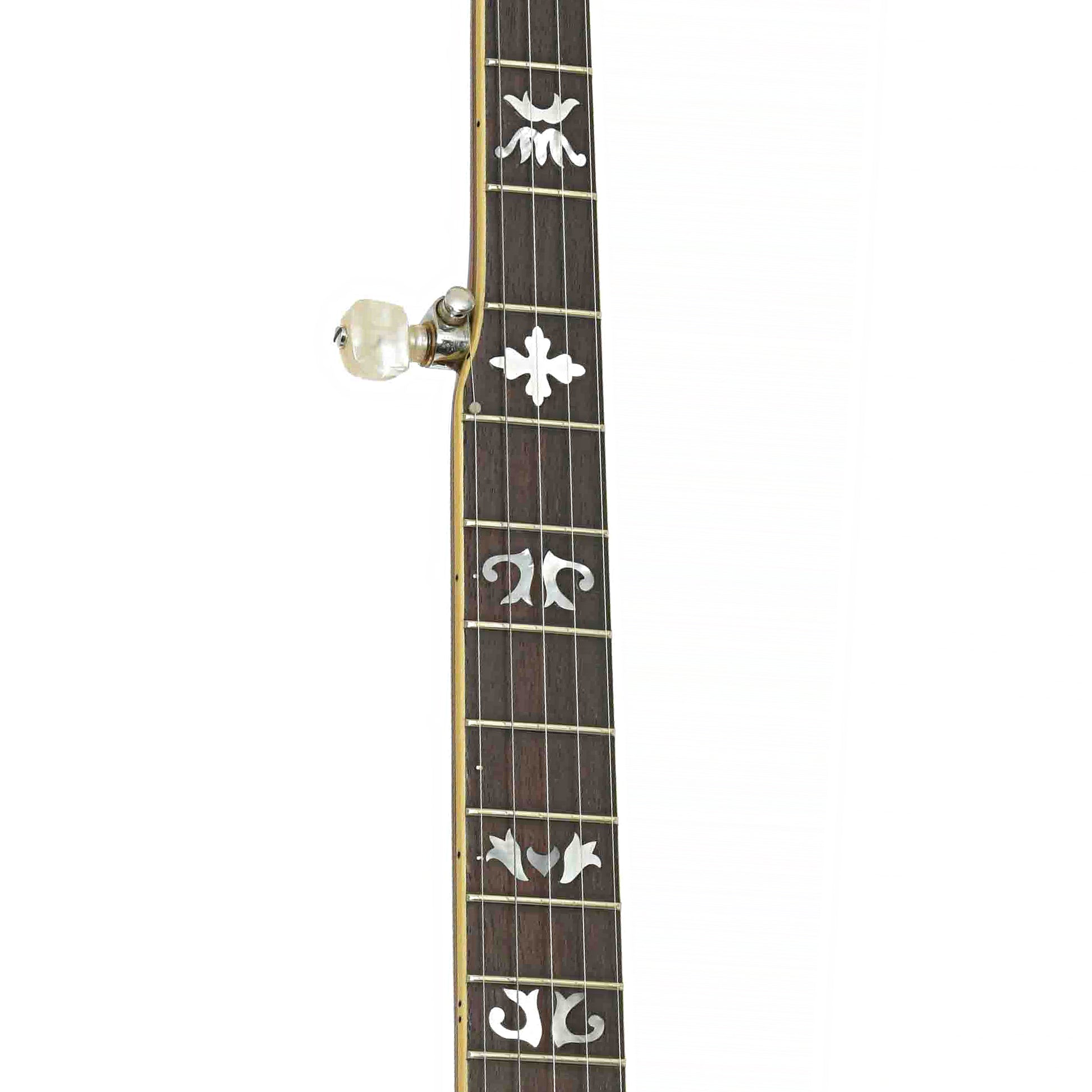 Fretboard of Washburn B-16
