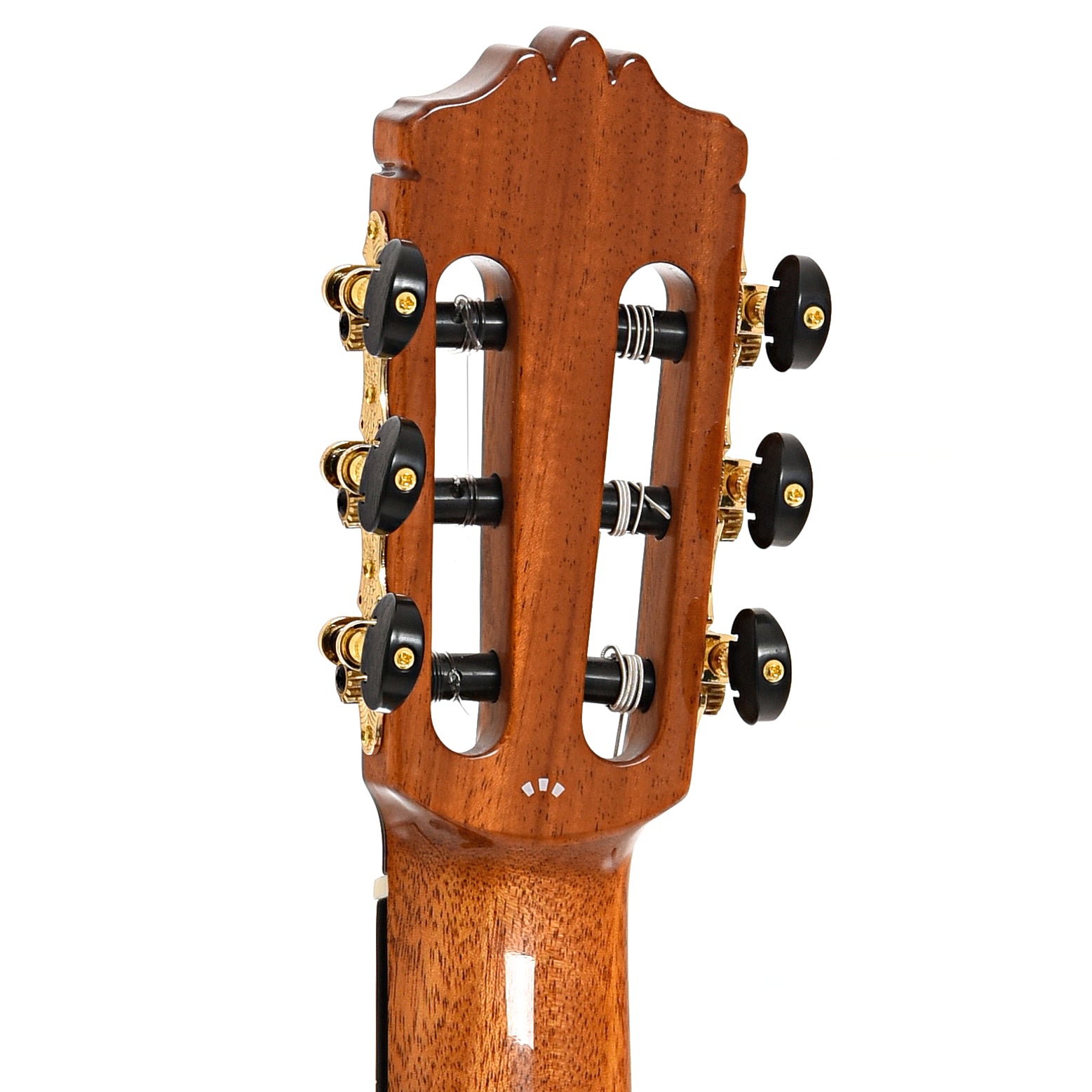 Back headstock of Cordoba C12 CD Classical Guitar and Case, Cedar Top
