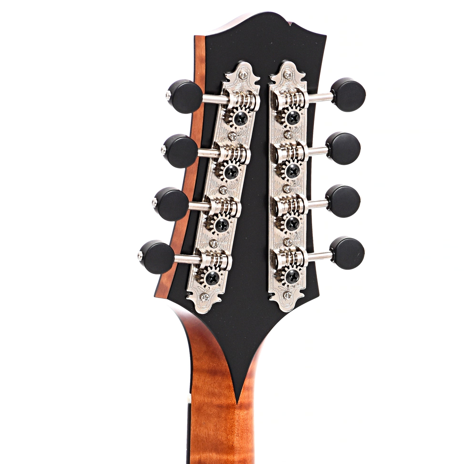 Back headstock of Collings MT A-Model Mandolin with Glossy Top, Honey Amber Finish, Tortoise Binding