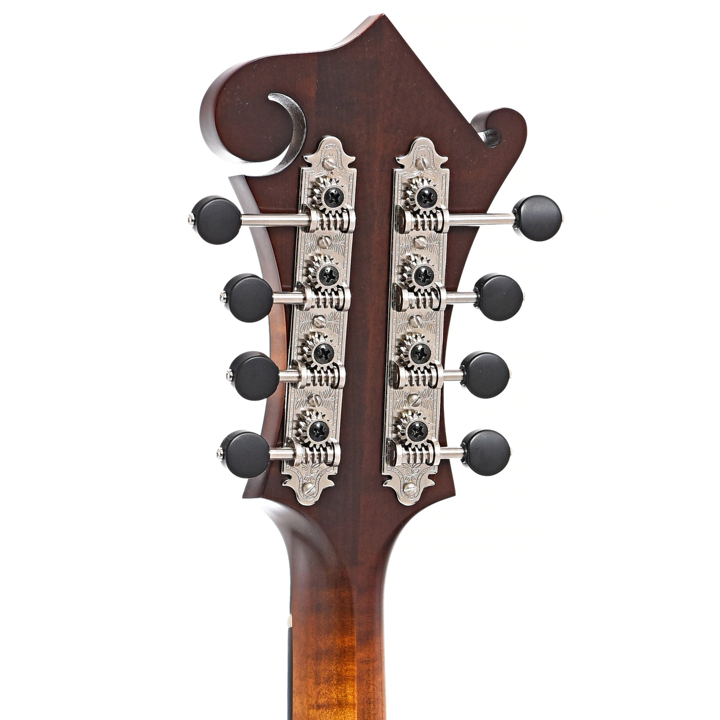 Back headstock of Northfield Workshop  S-Series NFS-F2B Mandolin, Blacktop Oval Soundhole,