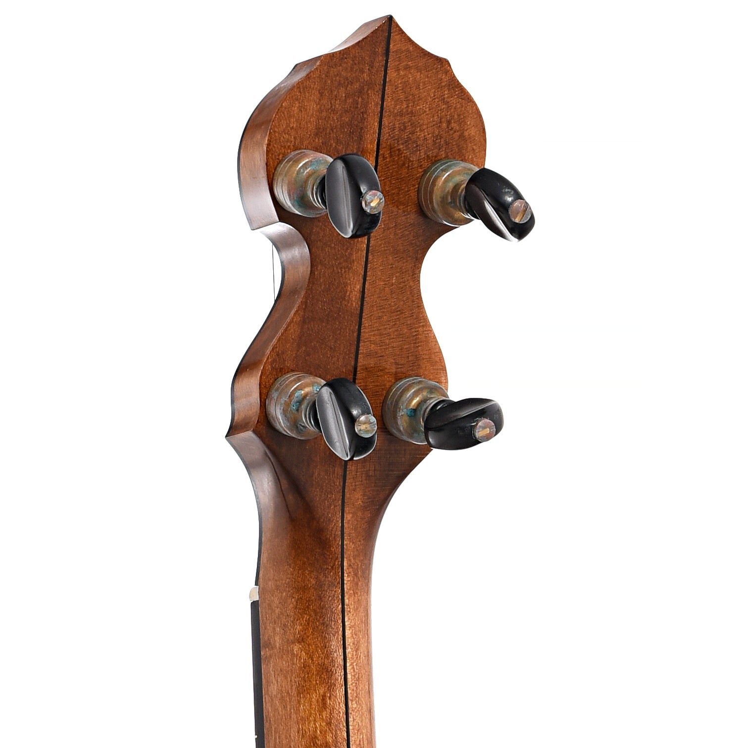 Back headstock of Bloom Old Brass Special Openback Banjo