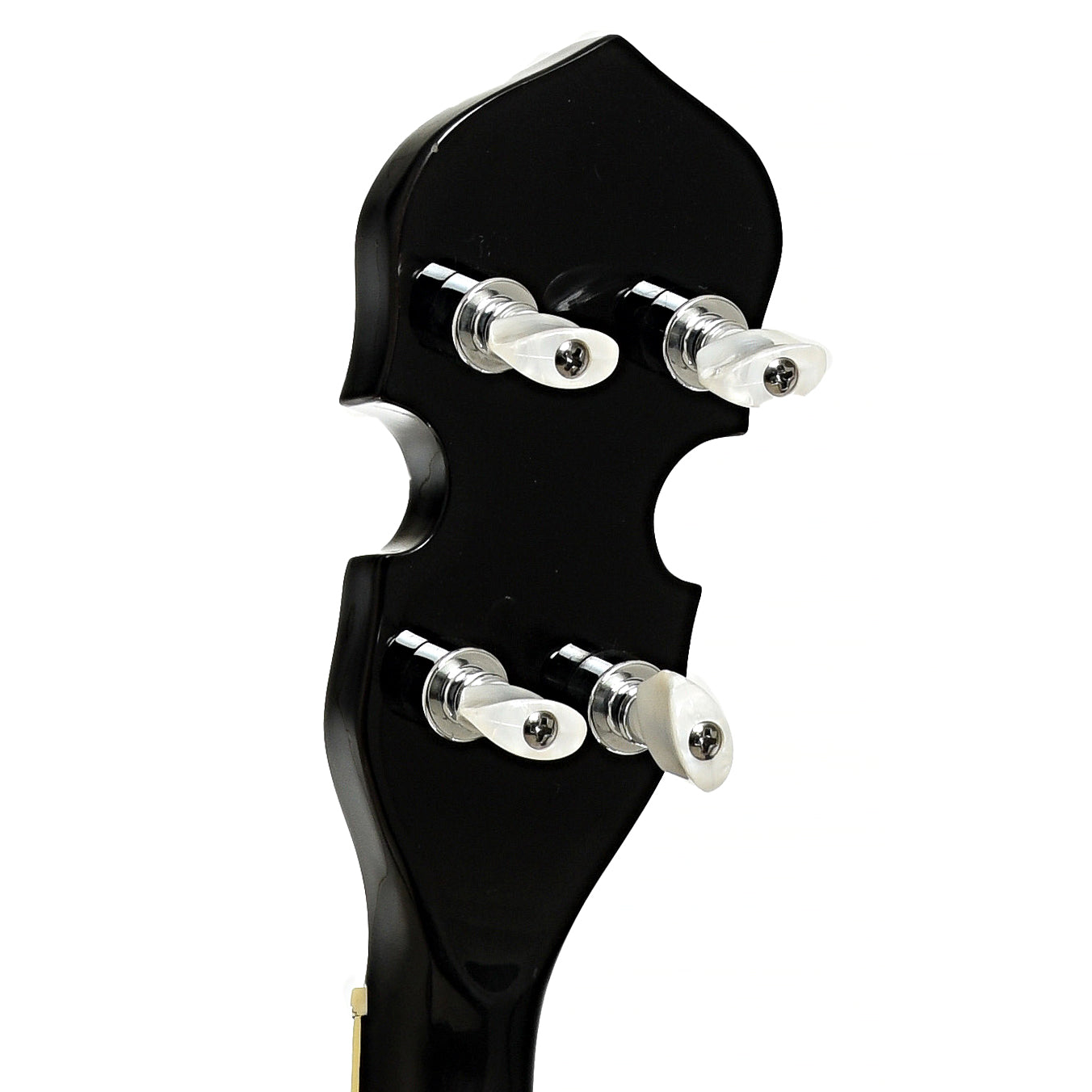 Tuiners of Gold Tone Dojo Deluxe