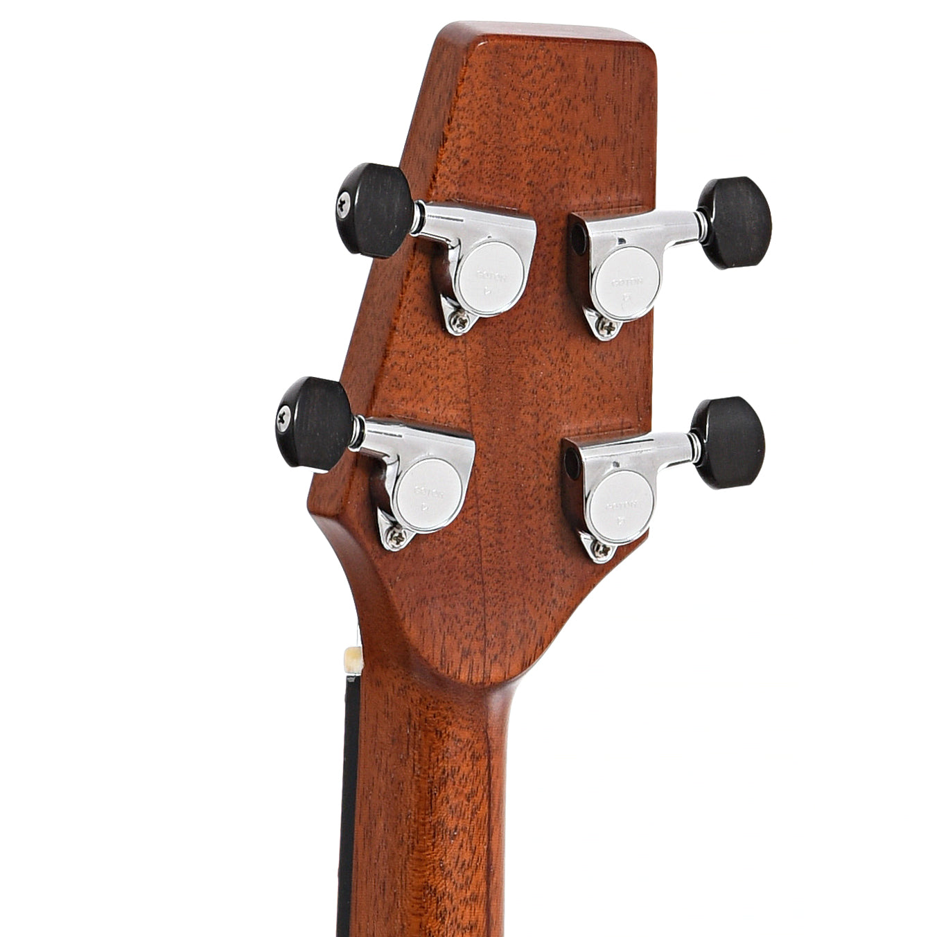 Back headstock of Fylde Tenor Acoustic Guitar