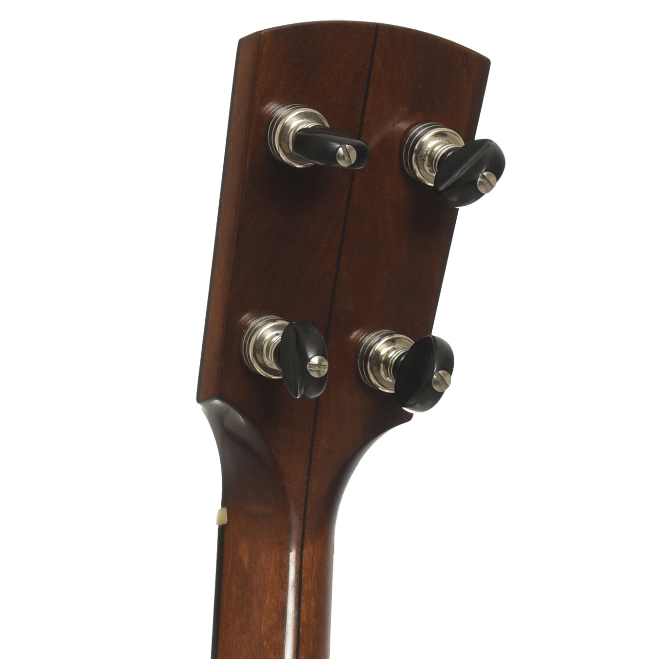 Tuners of Rickard Dobson Custom Openback Banjo 