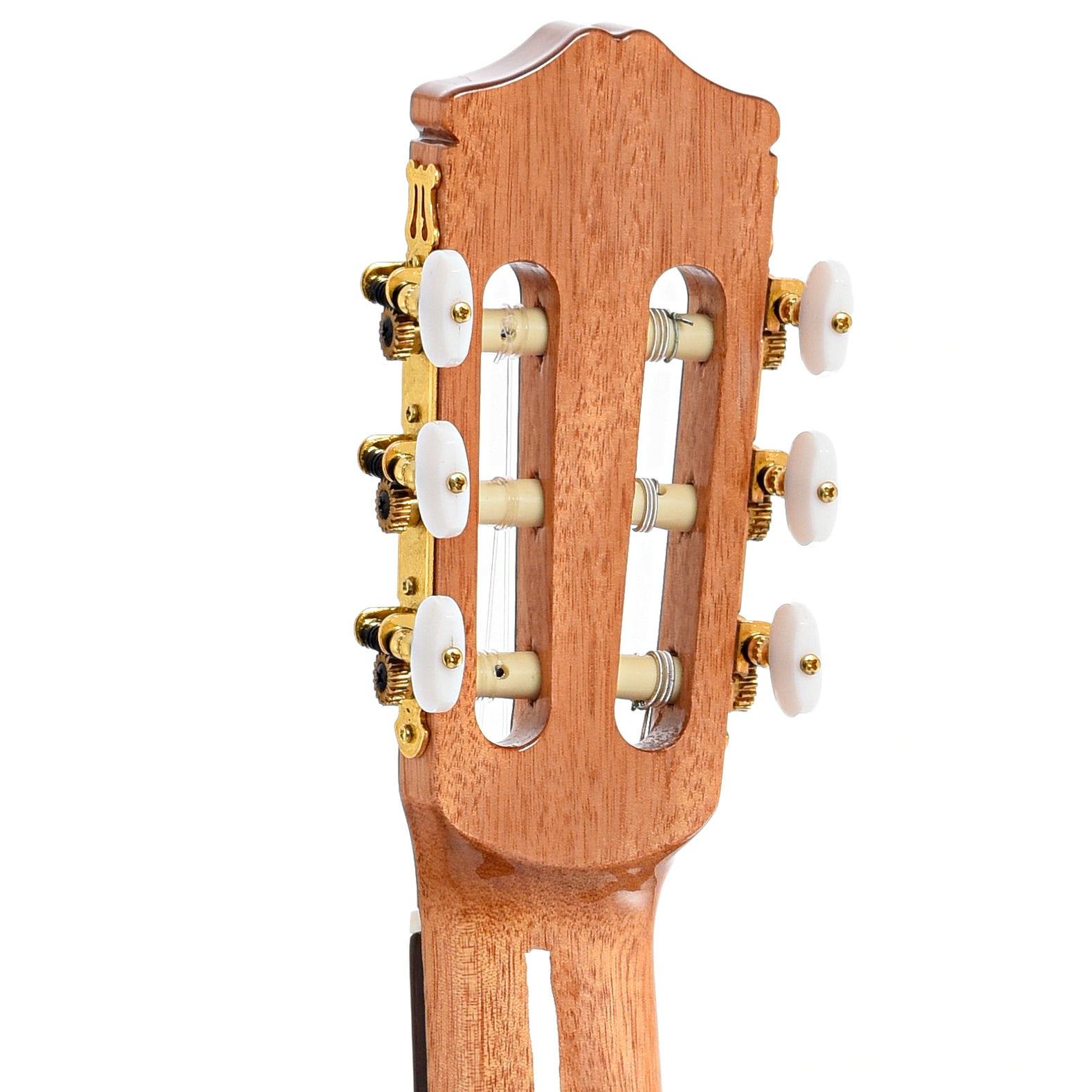 Back headstock of Cordoba C5 Spruce Top Classical Guitar