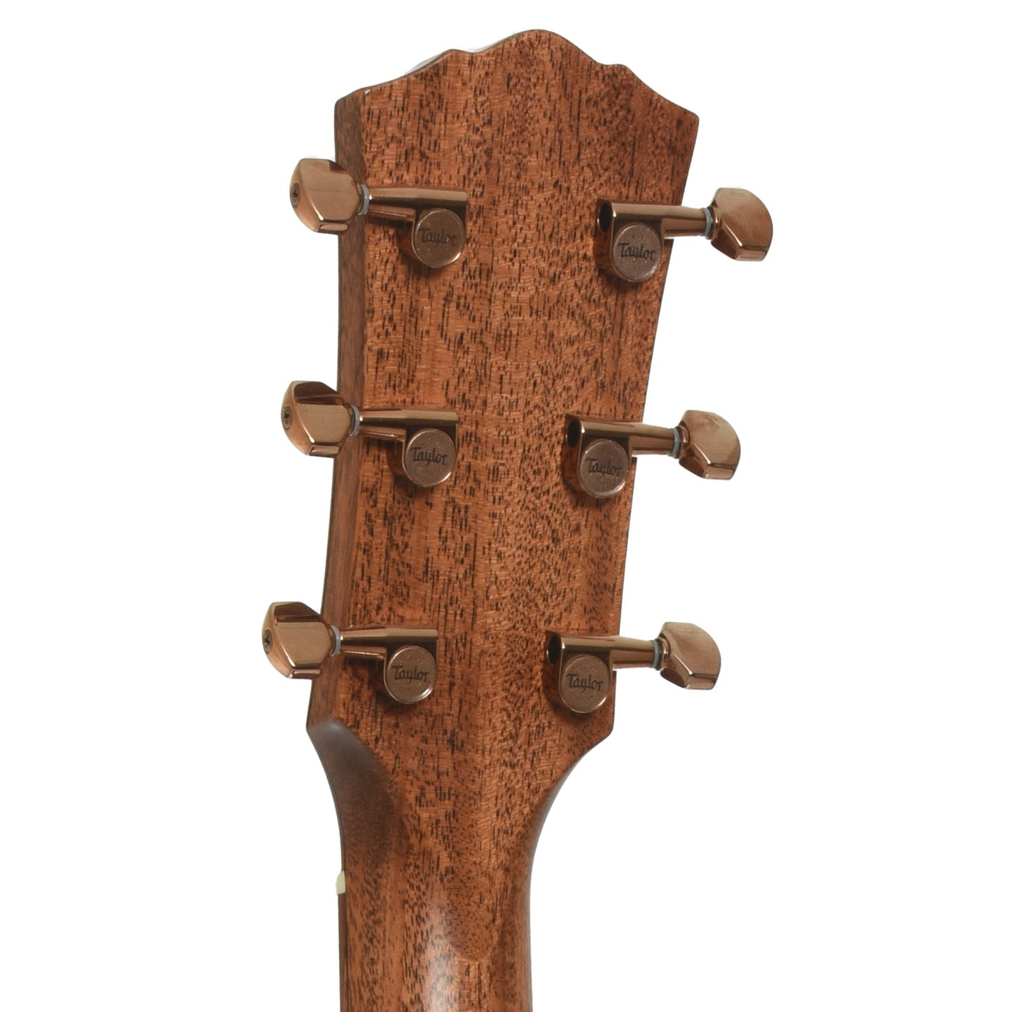 Tuners of Taylor Ben Harper Gold Label 512e Special Edition Acoustic Guitar 