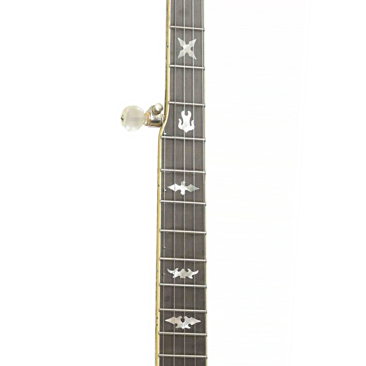 Fretboard of Stelling Staghorn Resonator Banjo
