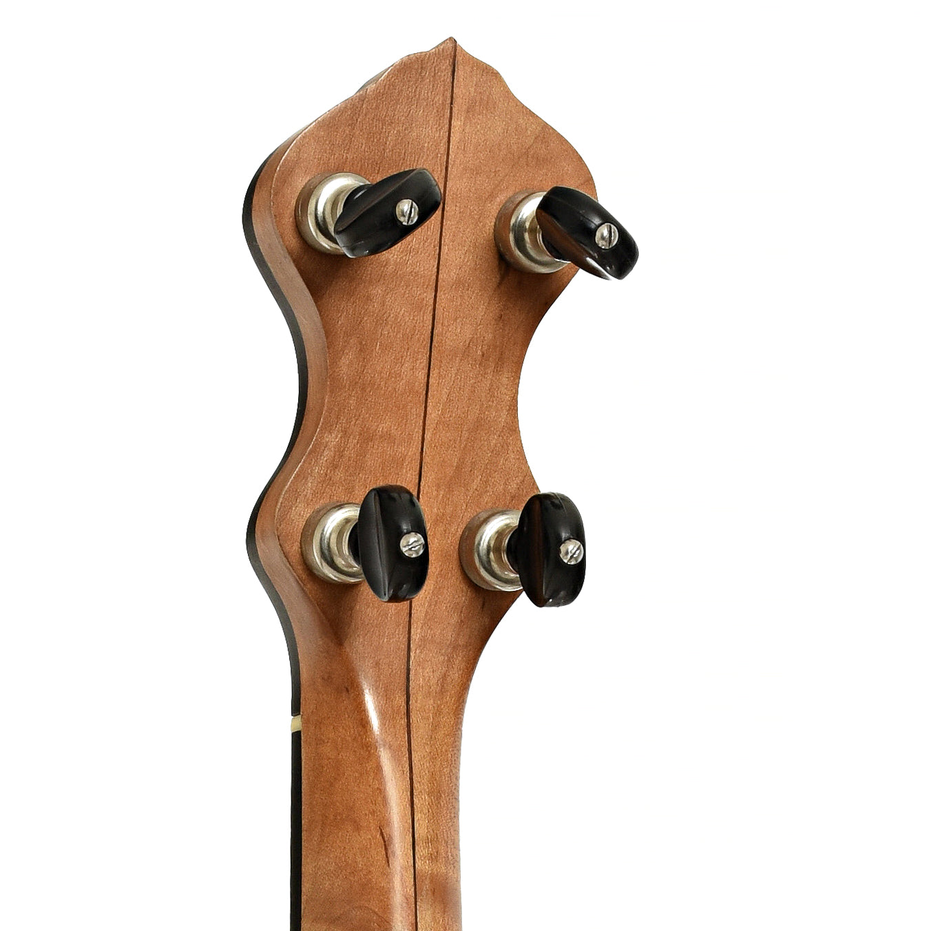 Tuners of Chanterelle Mike Ramsey Bacon Model Open Back 
