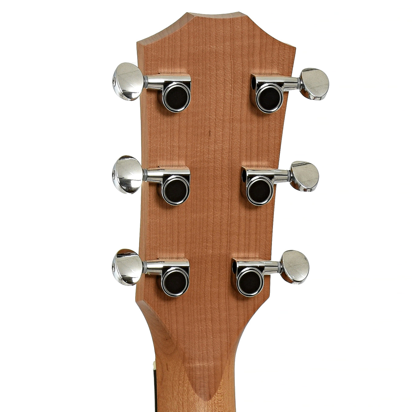 Taylor 24ce Acoustic Guitar & Gigbag