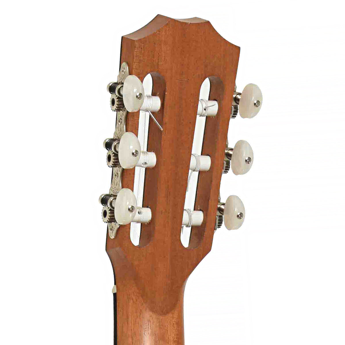 Tuners of Taylor 214ce-N Plus