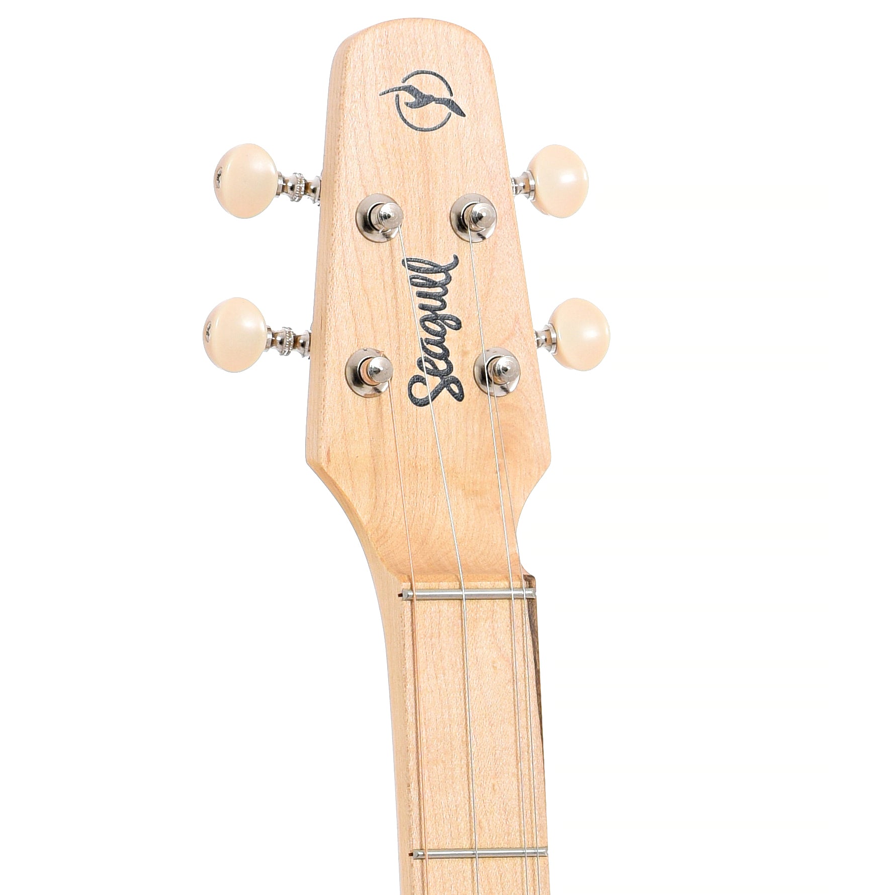 Front headstock of Seagull M4 "Merlin" 4-String Diatonic Acoustic Instrument