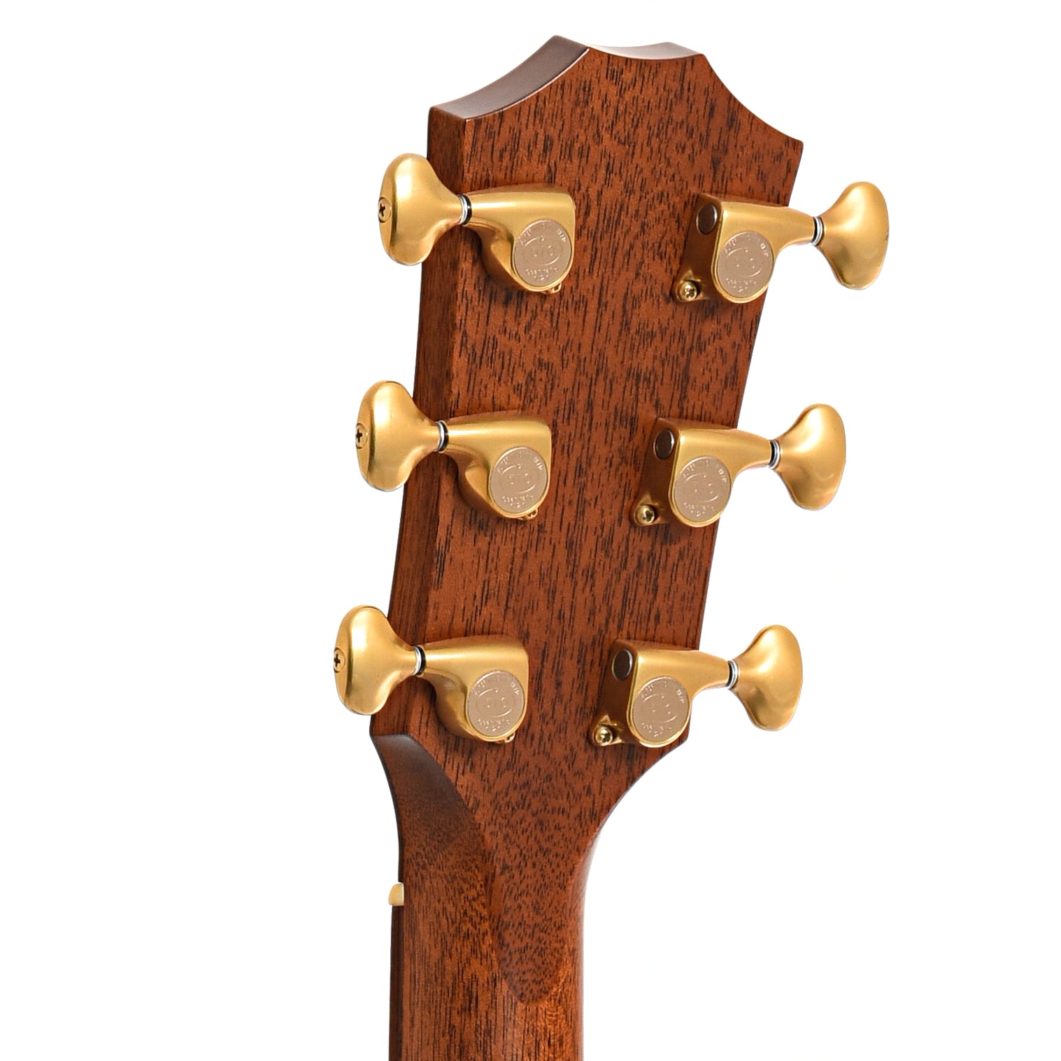 Back headstock of Taylor 916ce