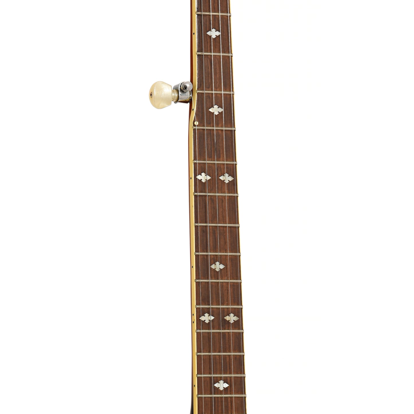Fretboard of Stagg Deluxe Resonator Banjo