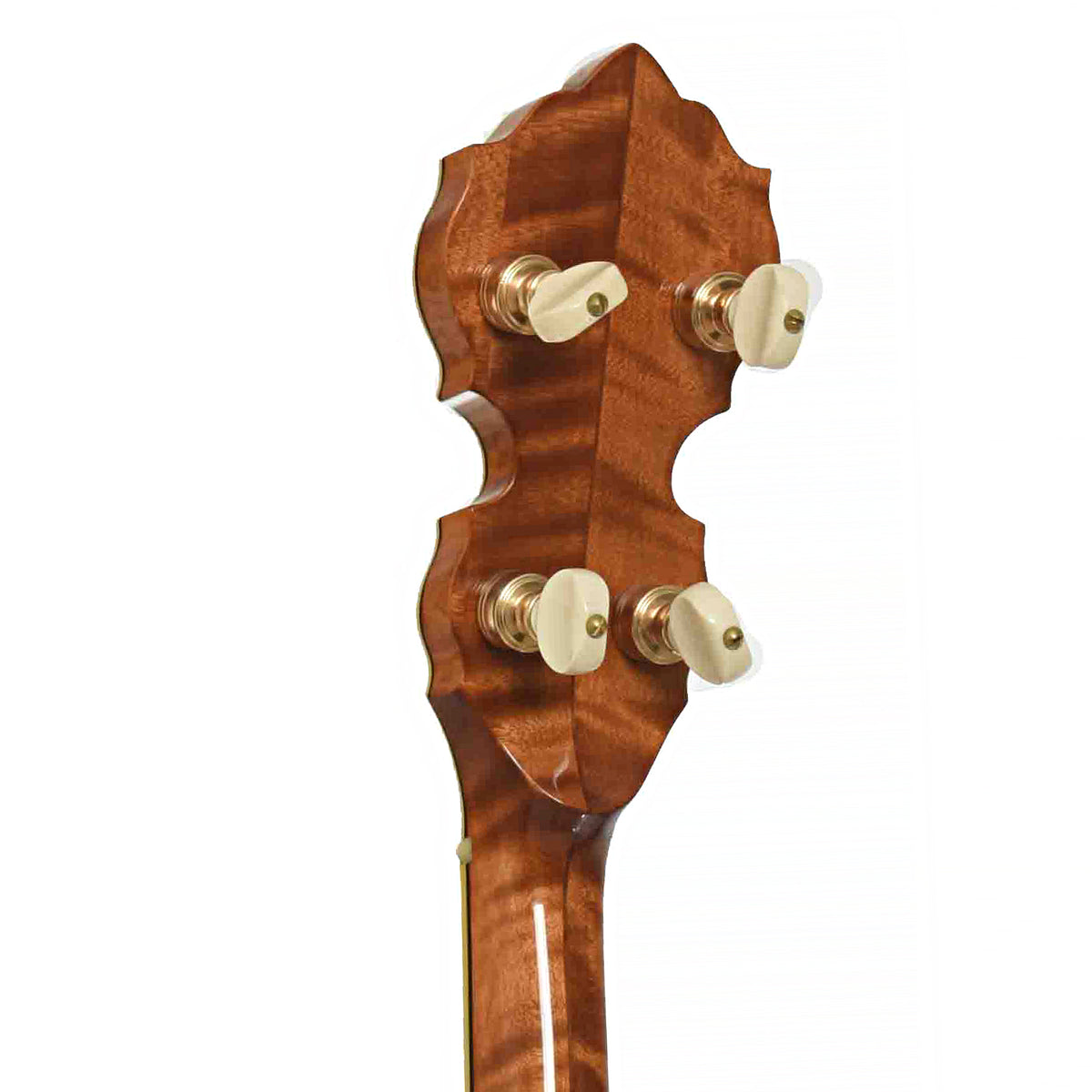 Tuners of Ome Juggernaut Custom Openback Banjo