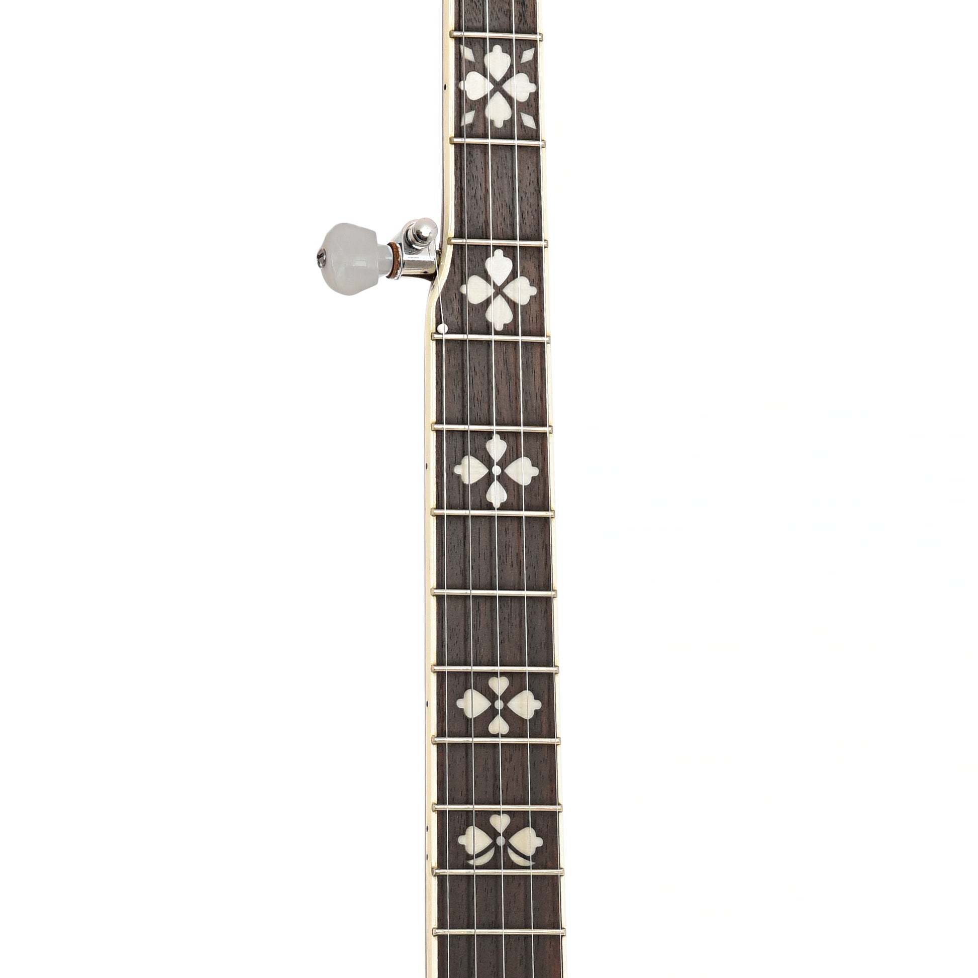 Fretboard of Gold Tone BG-150F Resonator Banjo