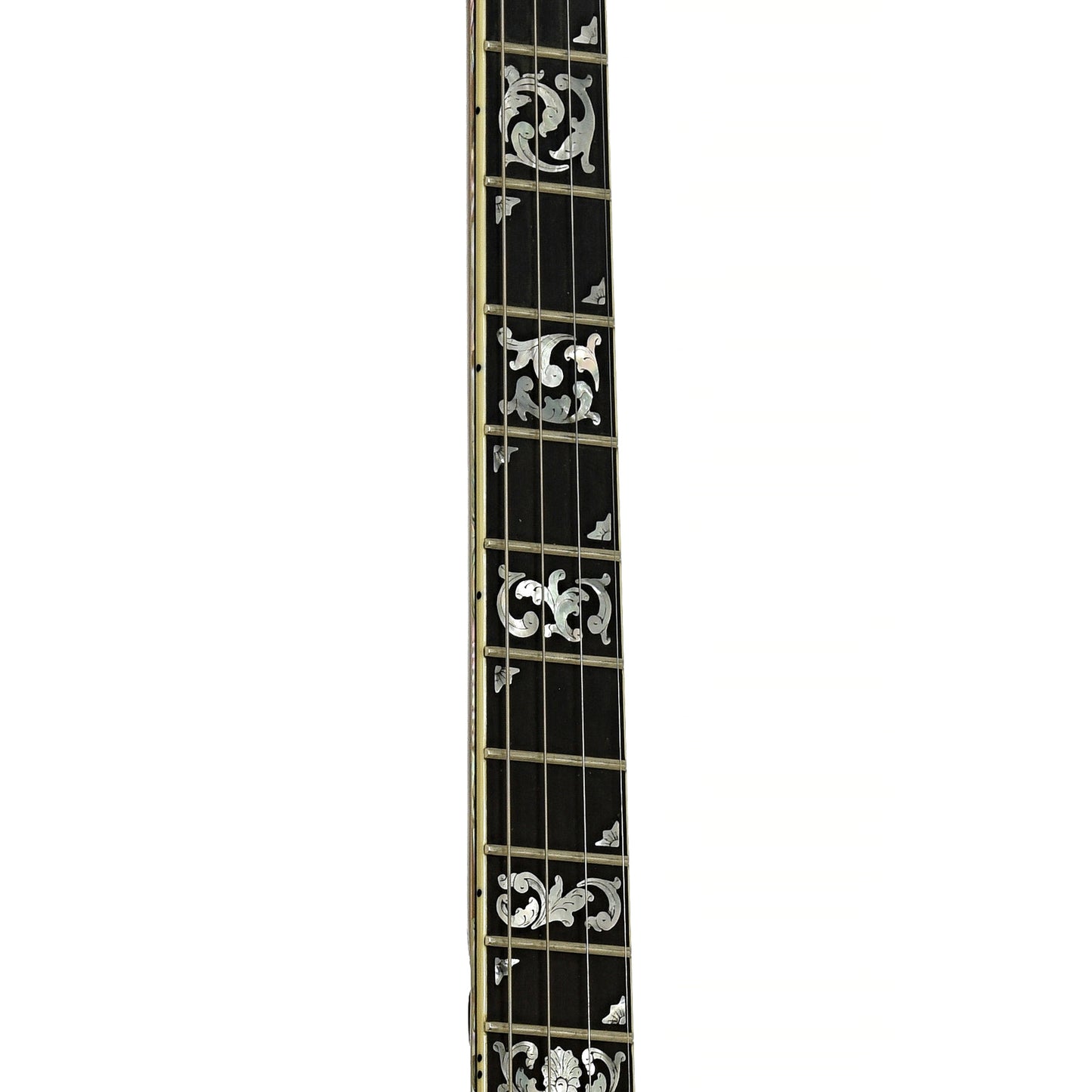 Fretboard of Ome Grand Artist Standard Jazz Tenor Banjo