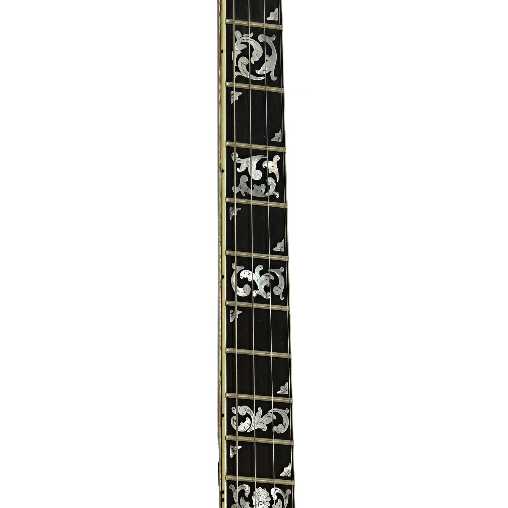 Fretboard of Ome Grand Artist Standard Jazz Tenor Banjo